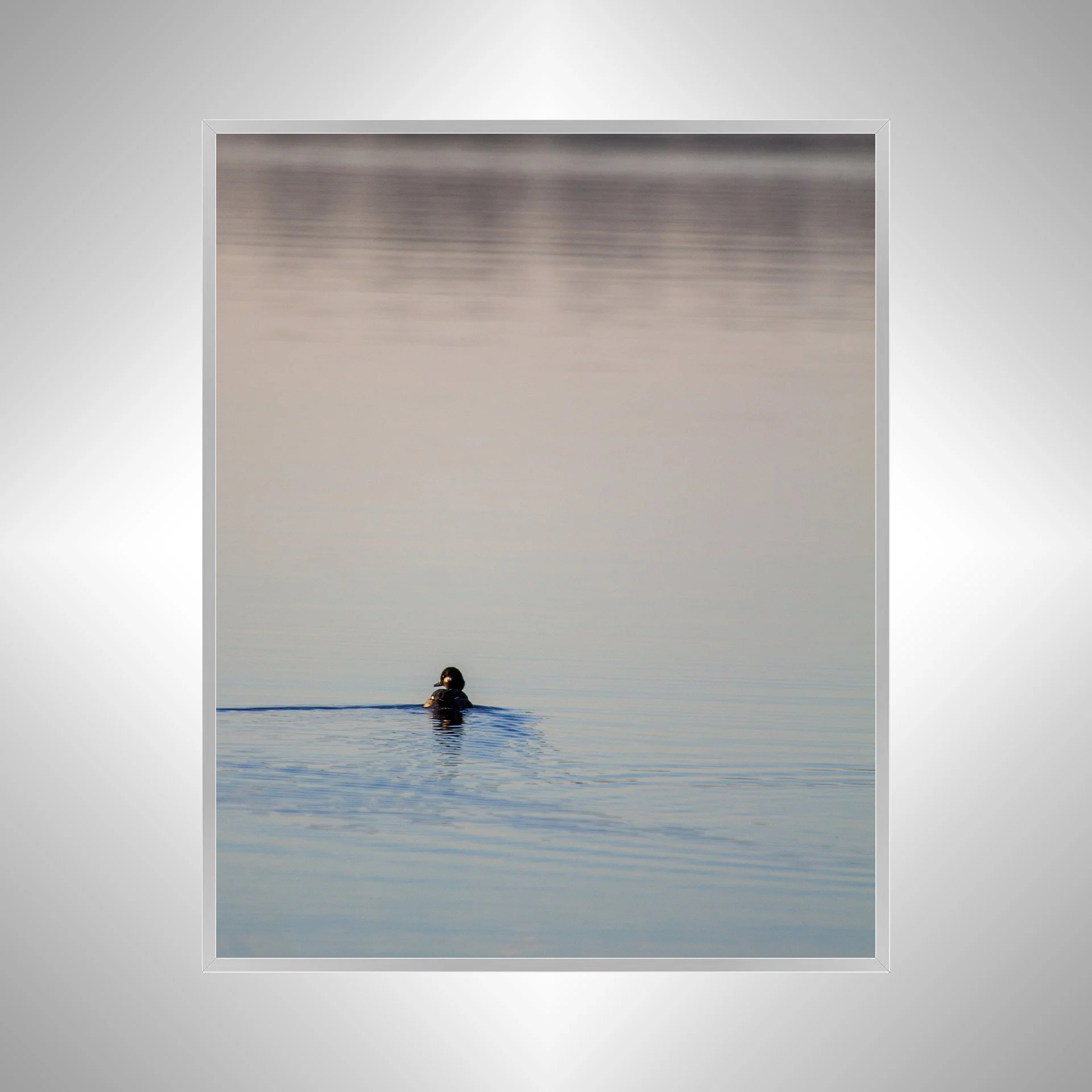 1:10 Bufflehead on Lafayette- Silver.jpg