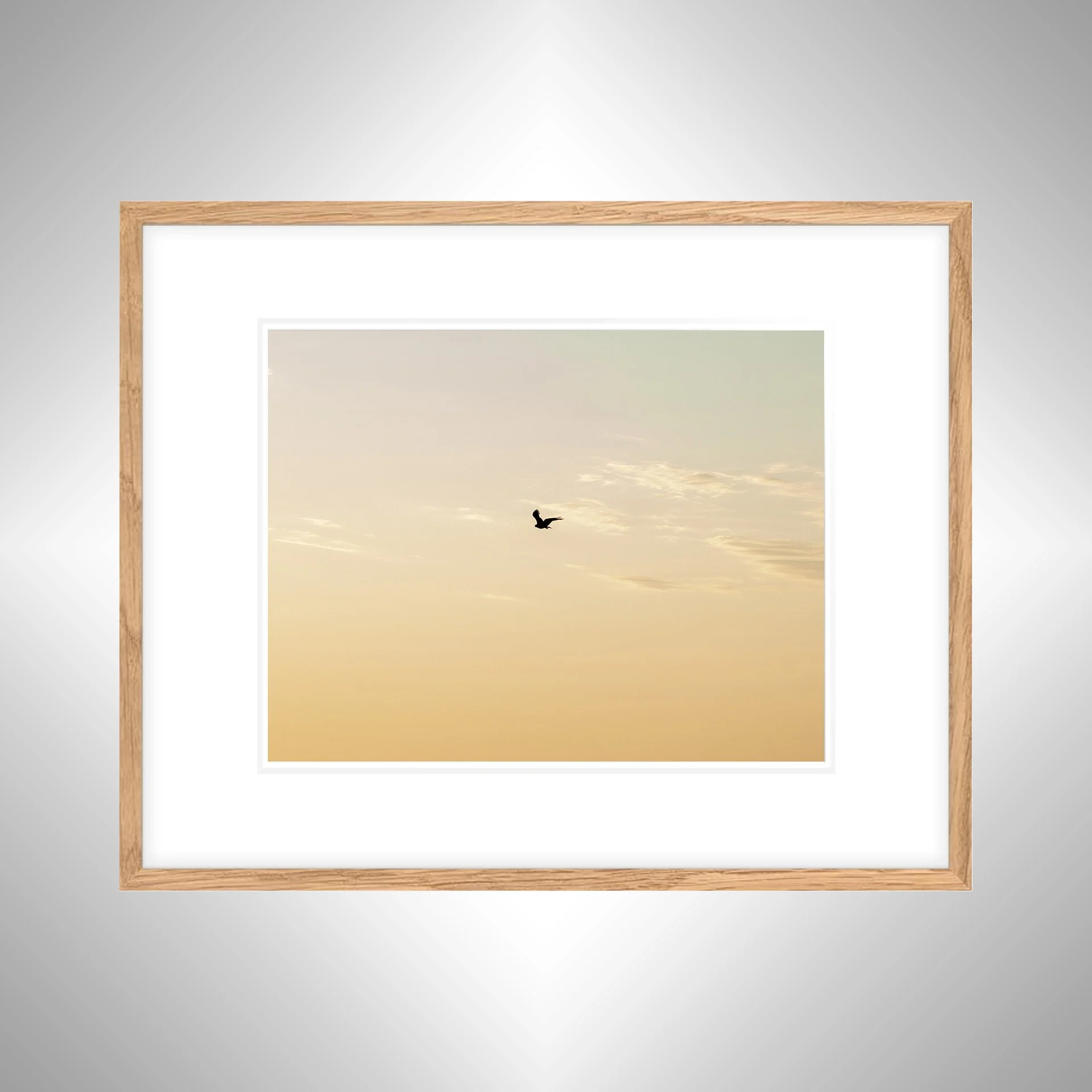 1_10 Golden Gull on Horizon- White w_ Border nwb.jpg