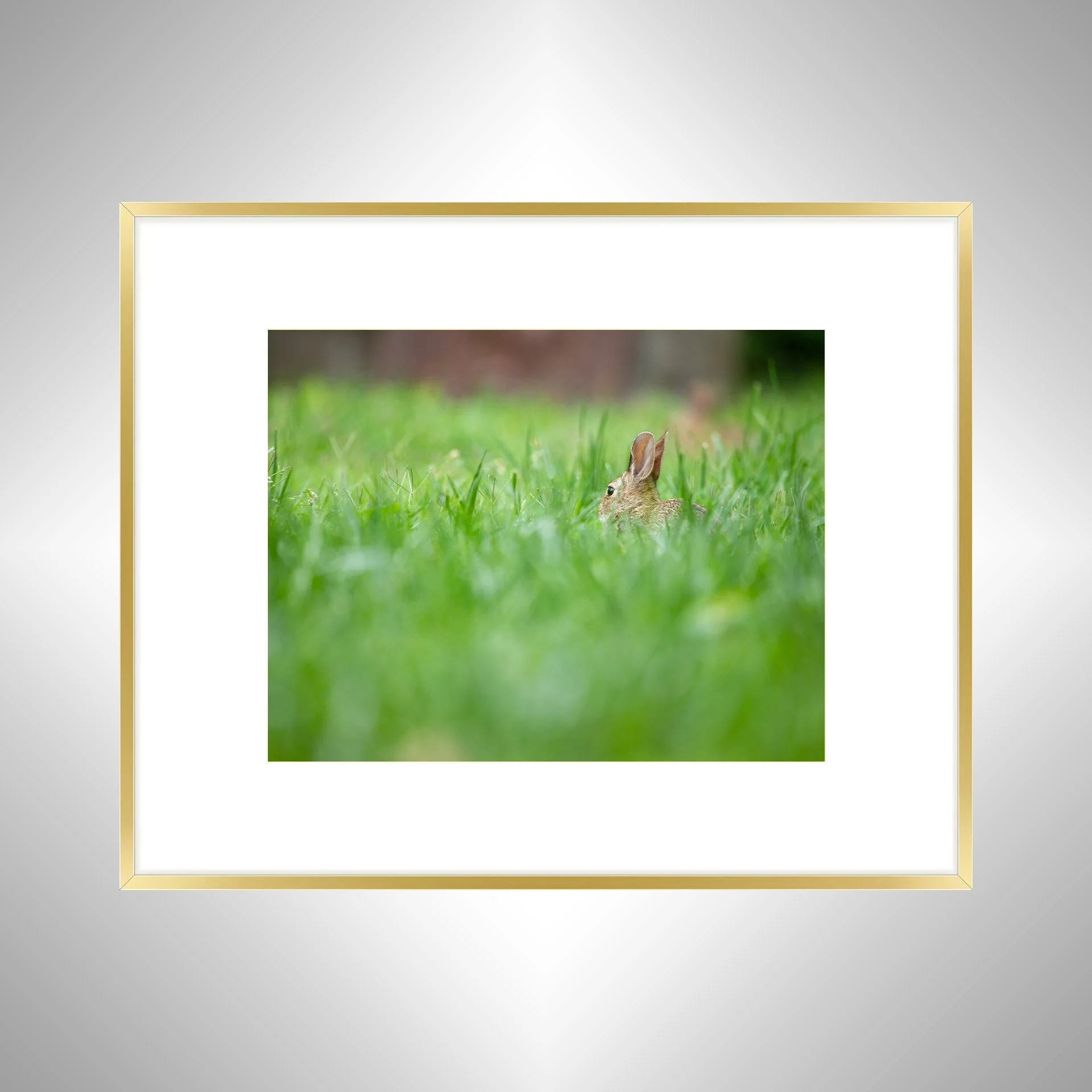 1:1 Rabbit Relaxing- Gold w: Border.jpg