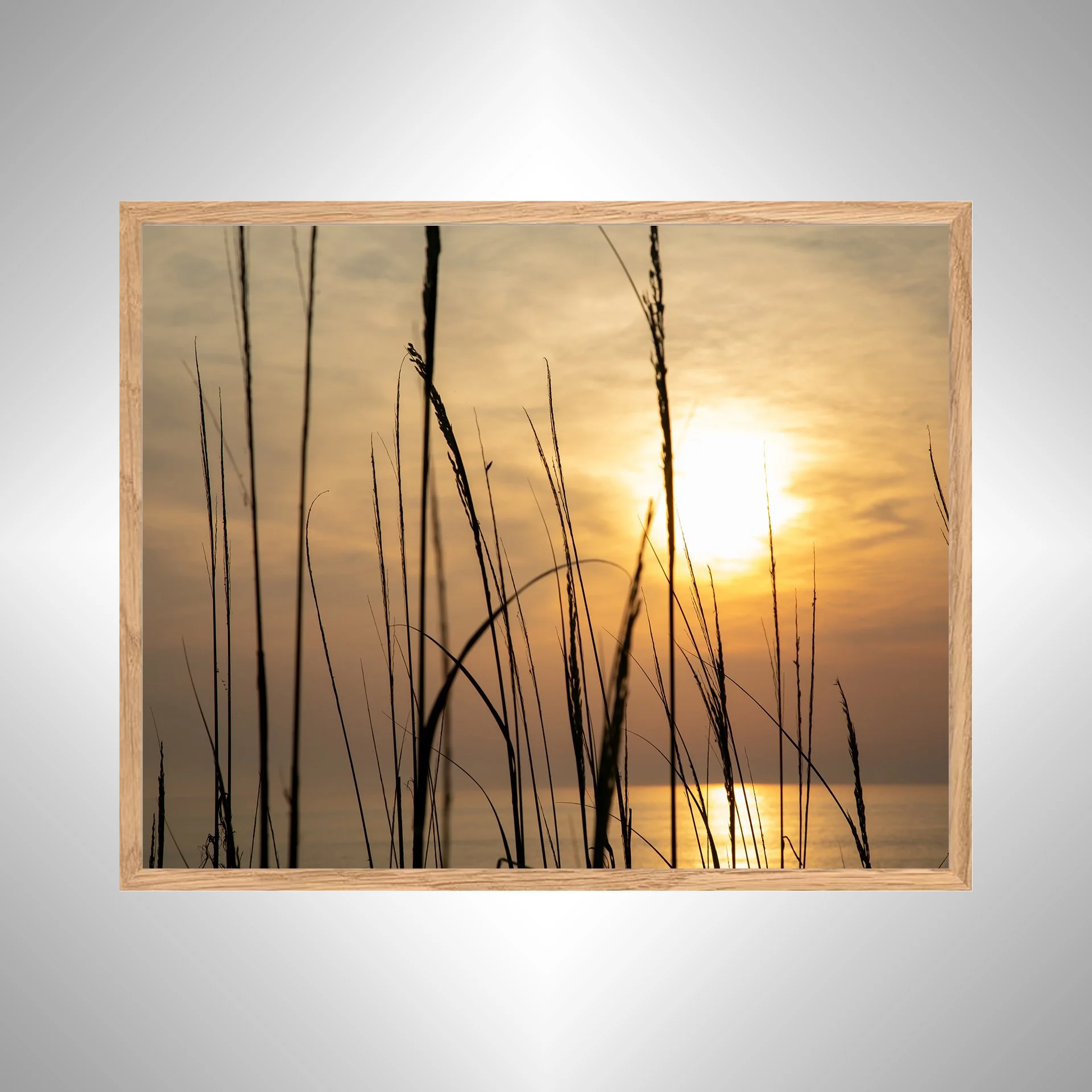 1:1 Sunny Morning thru Dunegrass- White copy NATTY.jpg