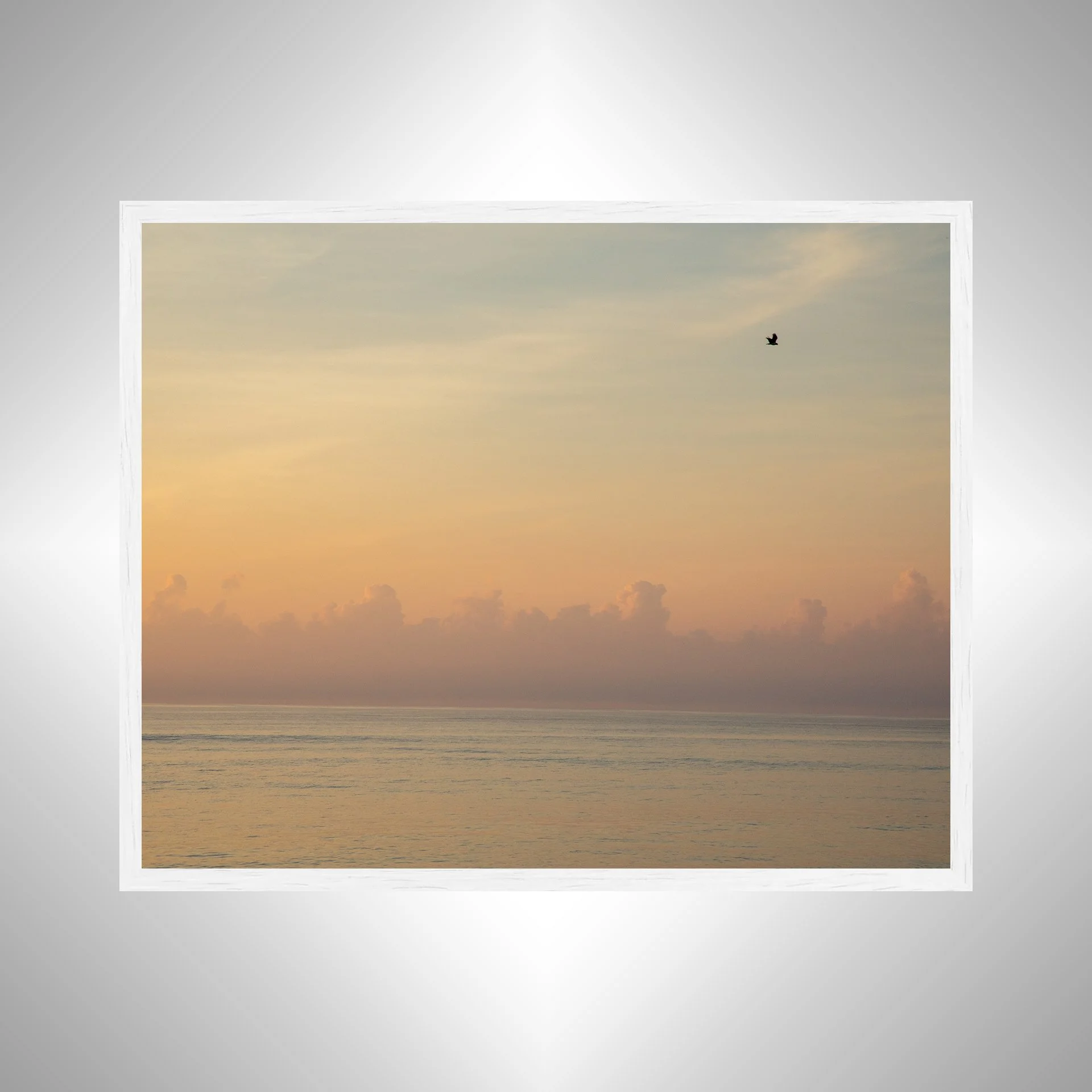 1:1 Clouds on the Horizon with Seagull- White Wood.jpg