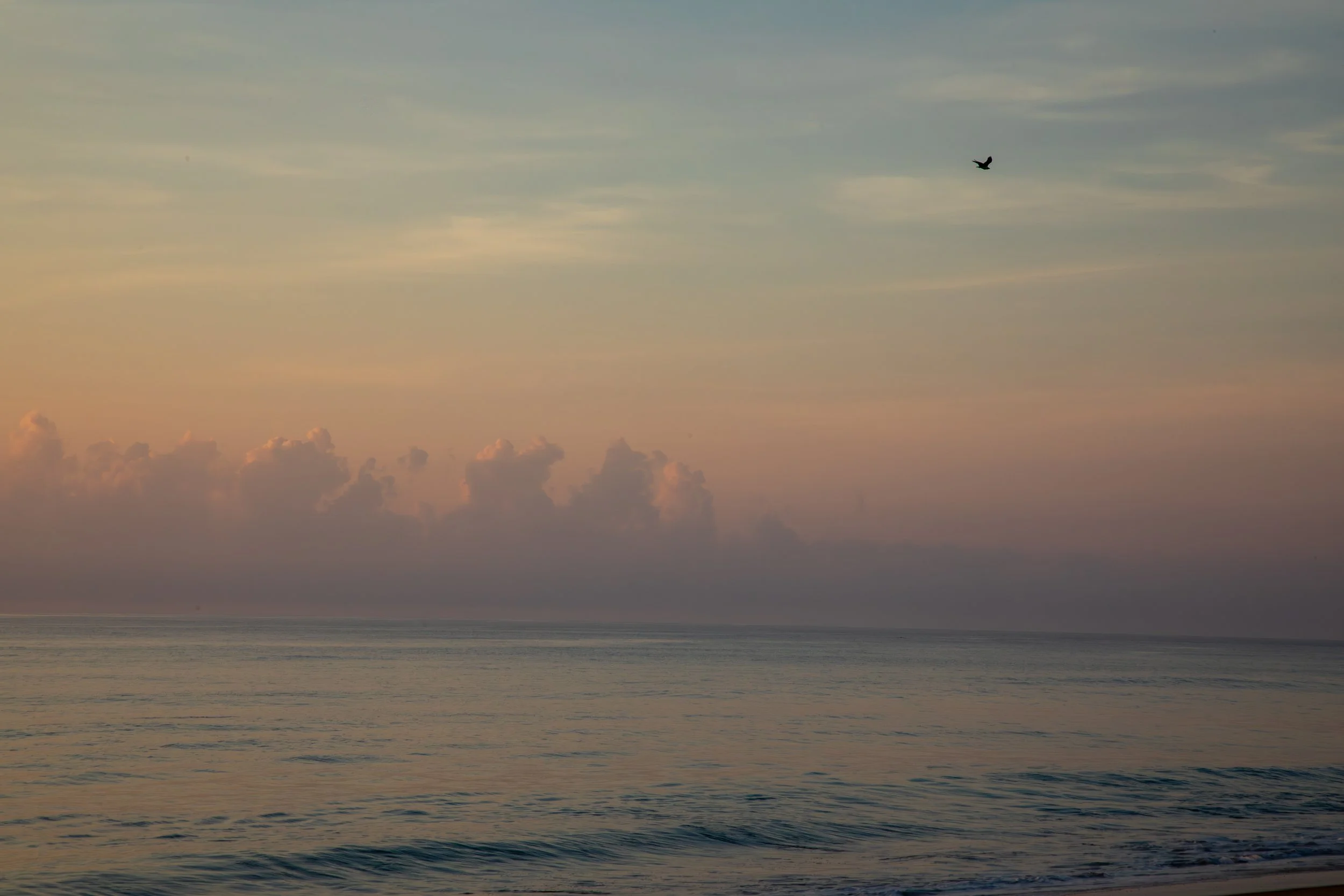 1:1 Pink Sunrise in Duck, NC.jpg