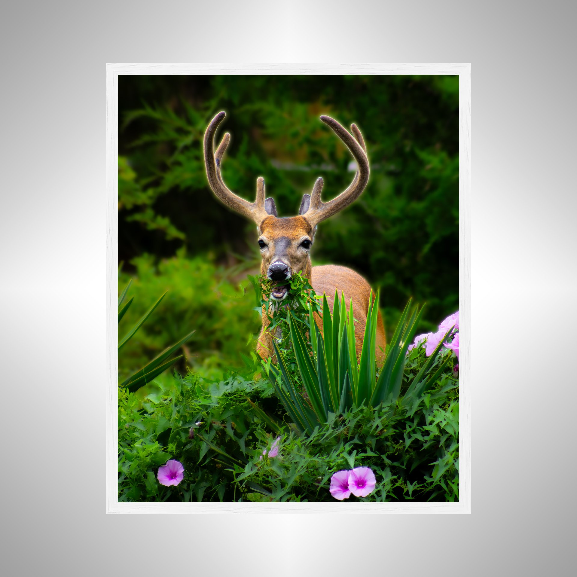 1:1 Deer Dinner in Hatteras- White Wood.jpg