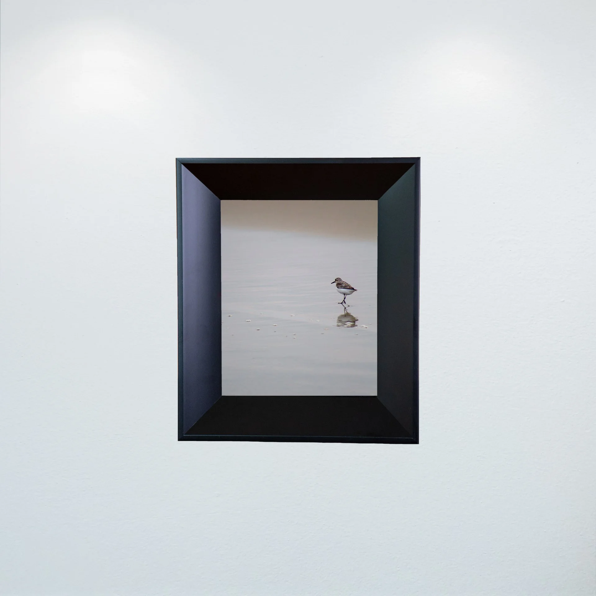 1:1 Sanderling Reflection- Mini.jpg