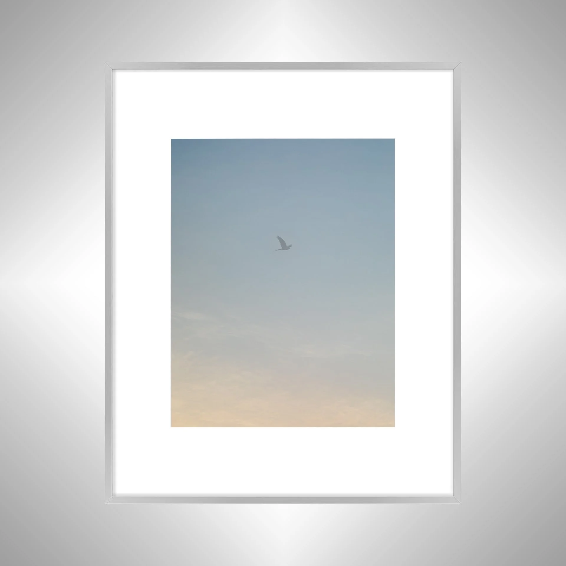 1:1 Seagull thru Fog- Silver w: Border.jpg
