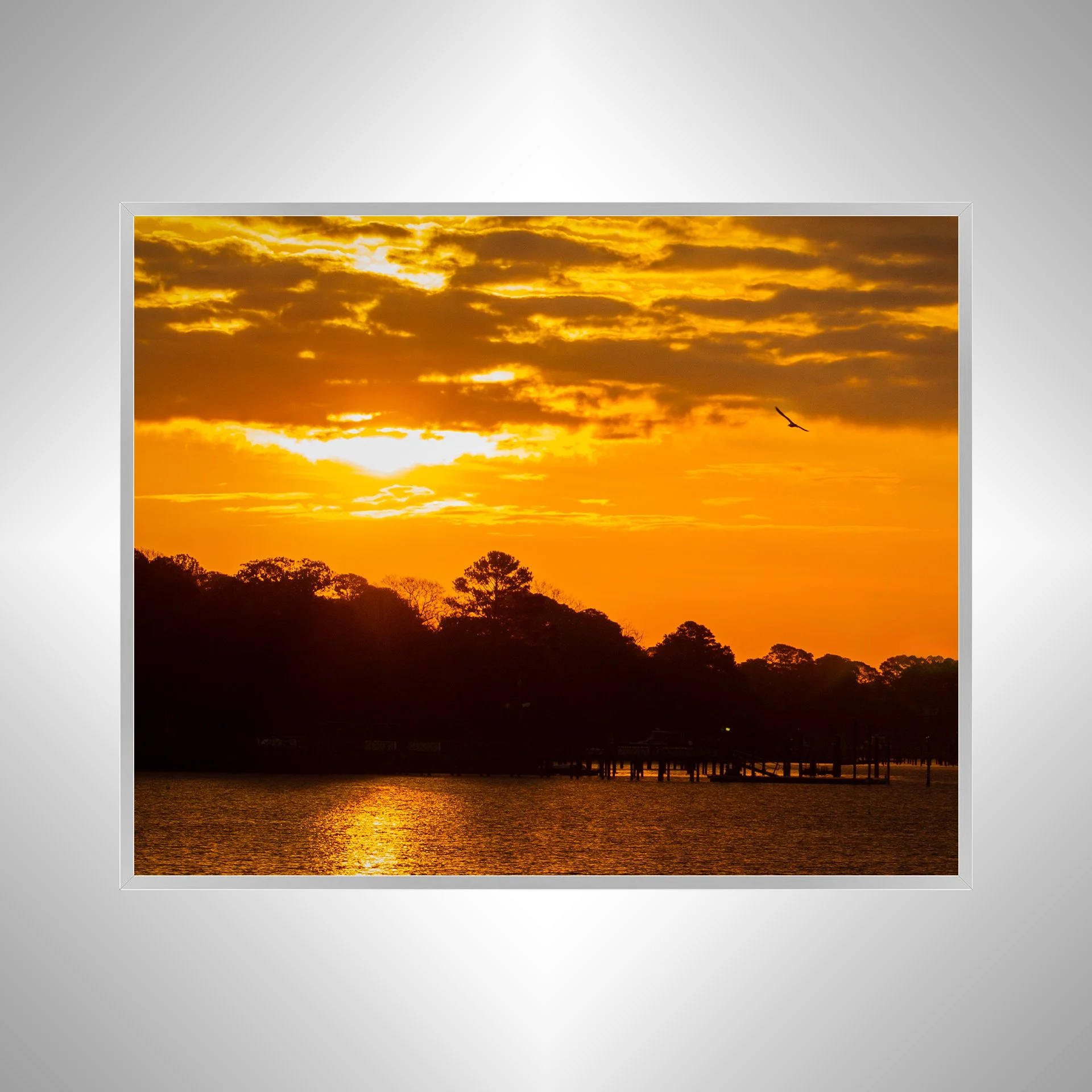 1:1 Bird at Sunrise on the Lafayette River- Silver Metal.jpg