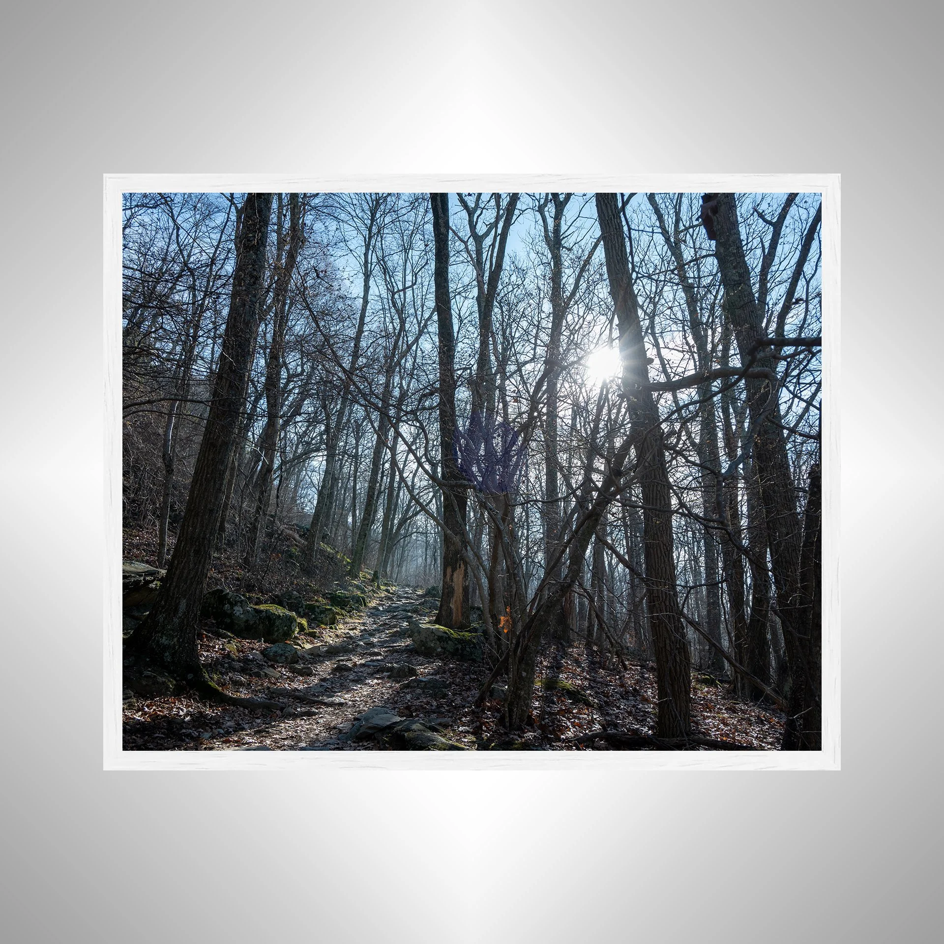 1:1 Shenandoah National Park Rock Trail with Sun Flare- White.jpg