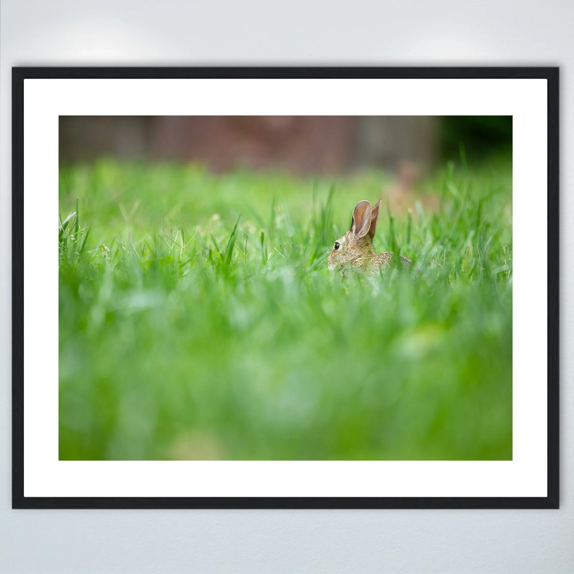 1:1 Rabbit Relaxing- Wood w: Border.jpg