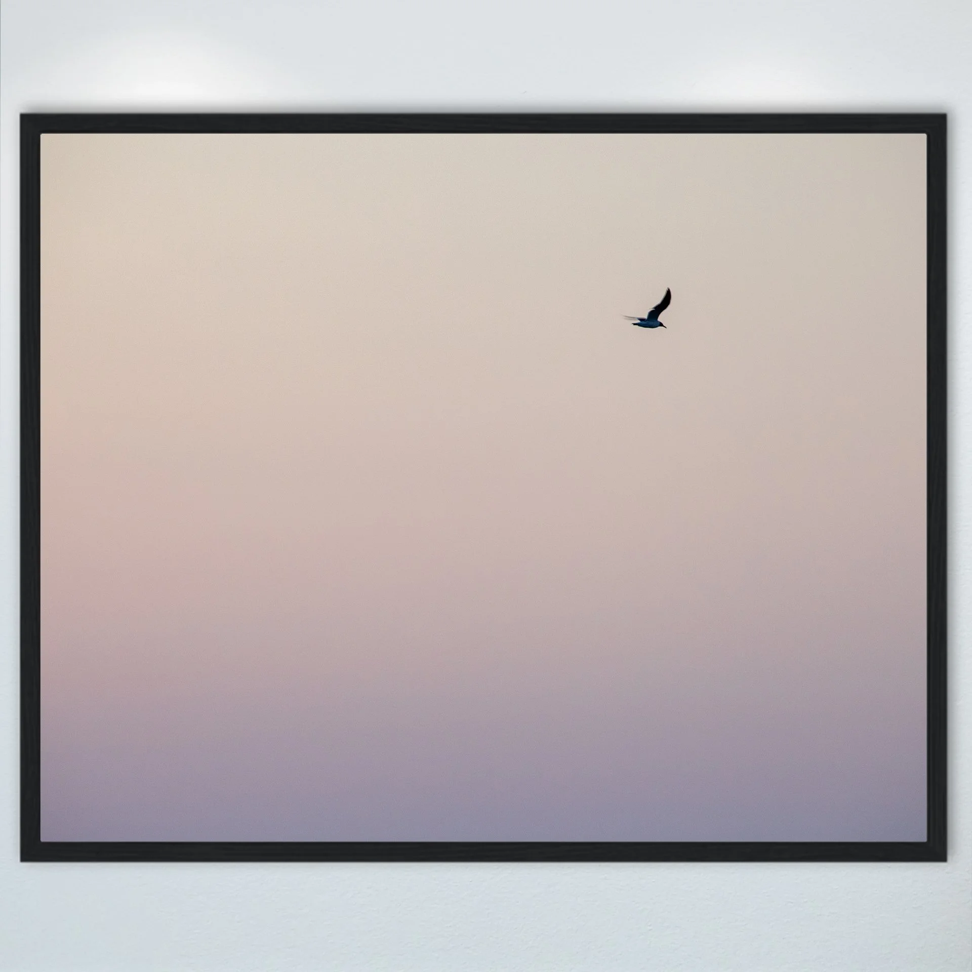 1:1 Seagull Flying on Pink Gradient- Wood.jpg