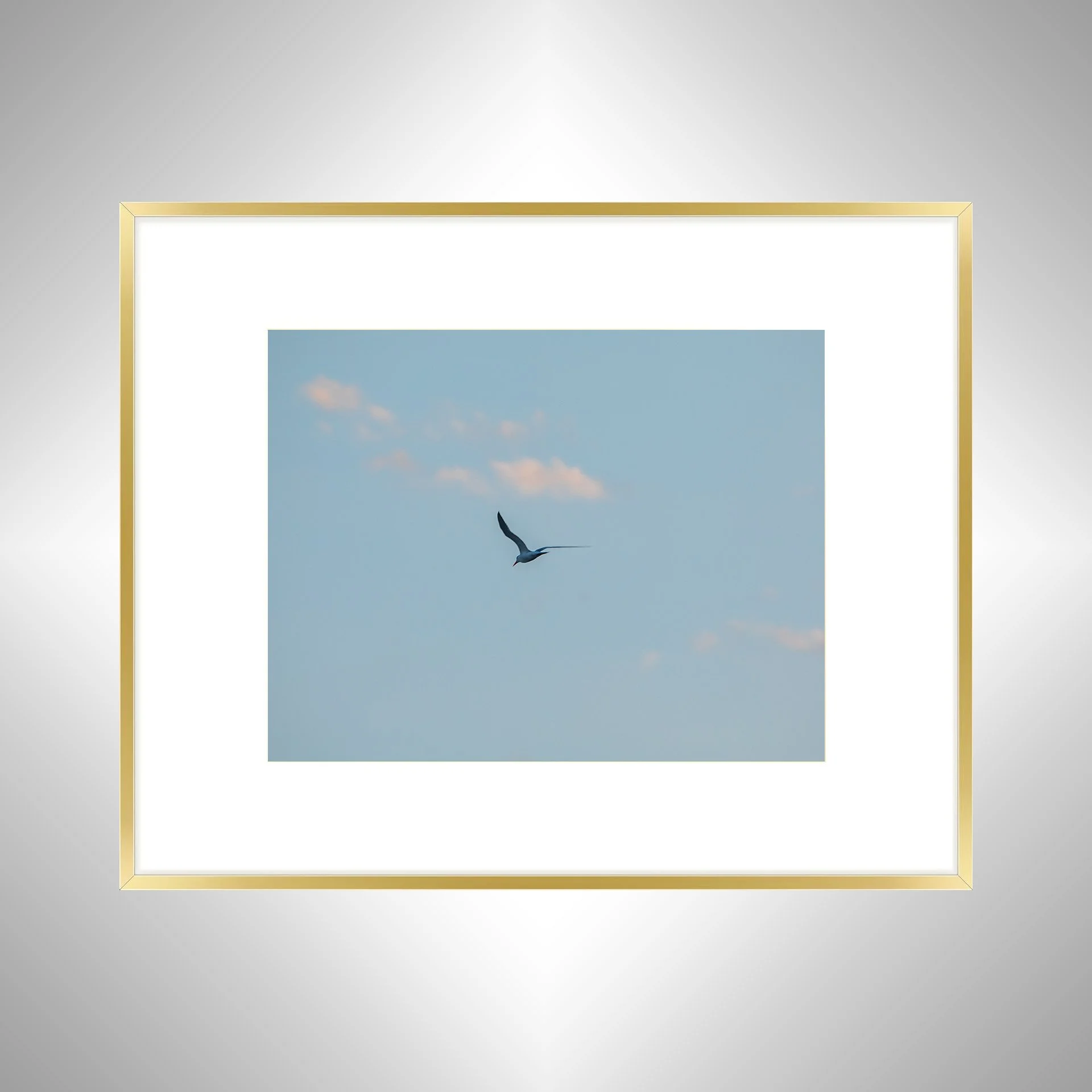 1:1 Seagull + Pink Clouds- Gold w: Border.jpg