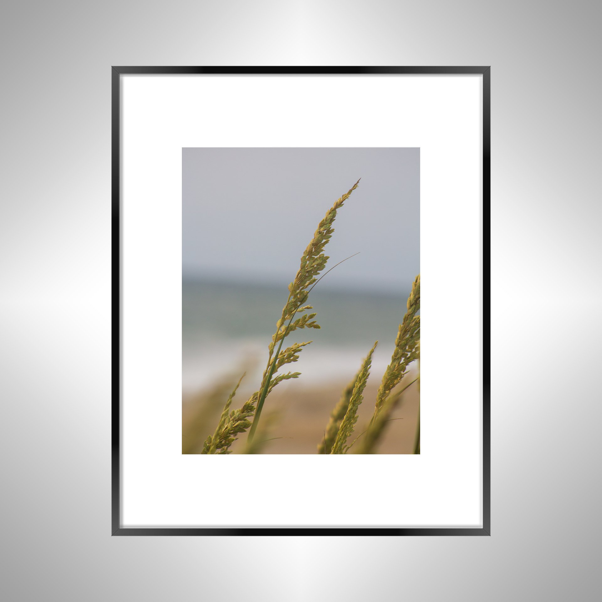 1:1 Rodanthe Dune Oats Single- Black w: Border.jpg