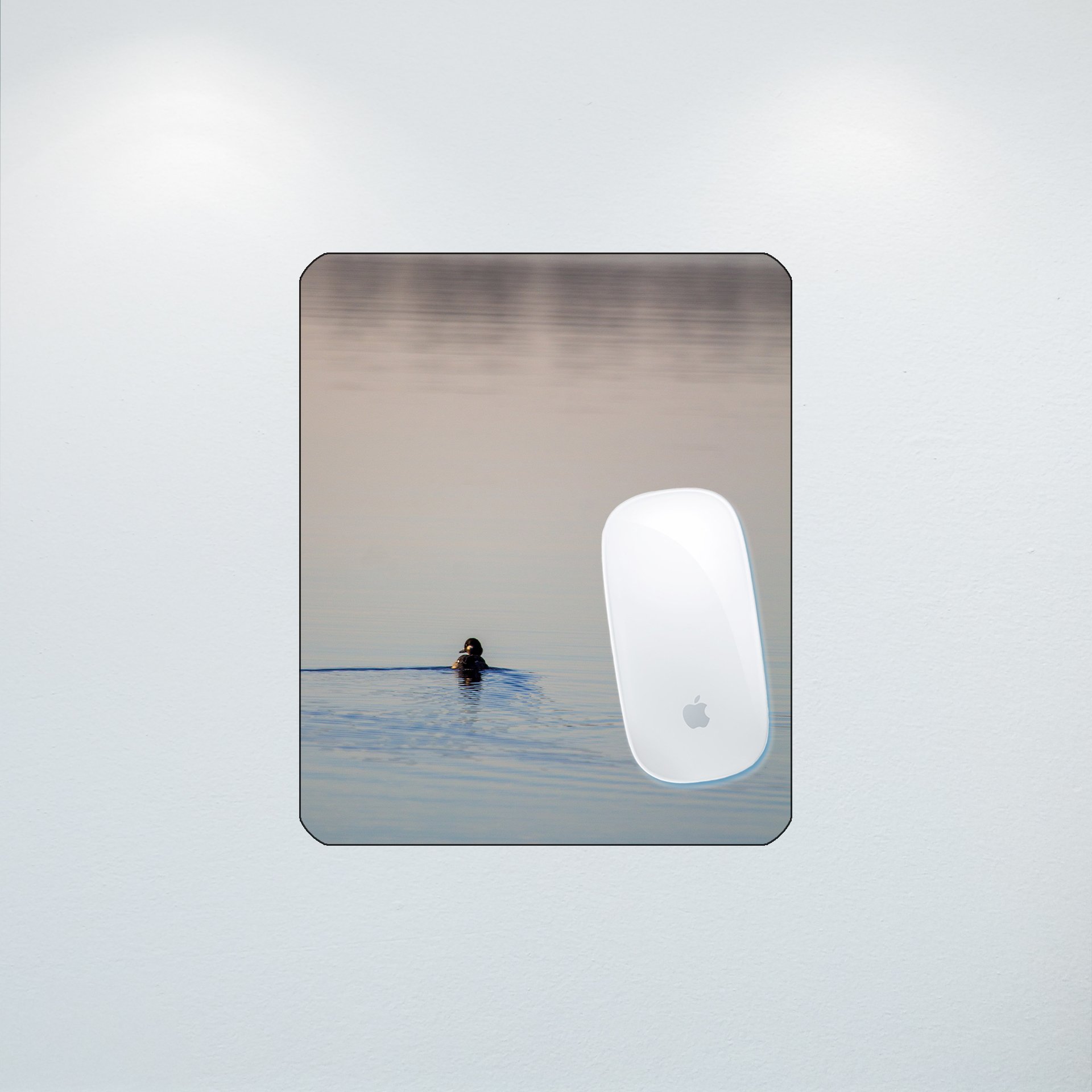 1:10 Bufflehead on Lafayette- Mouse Pad.jpg