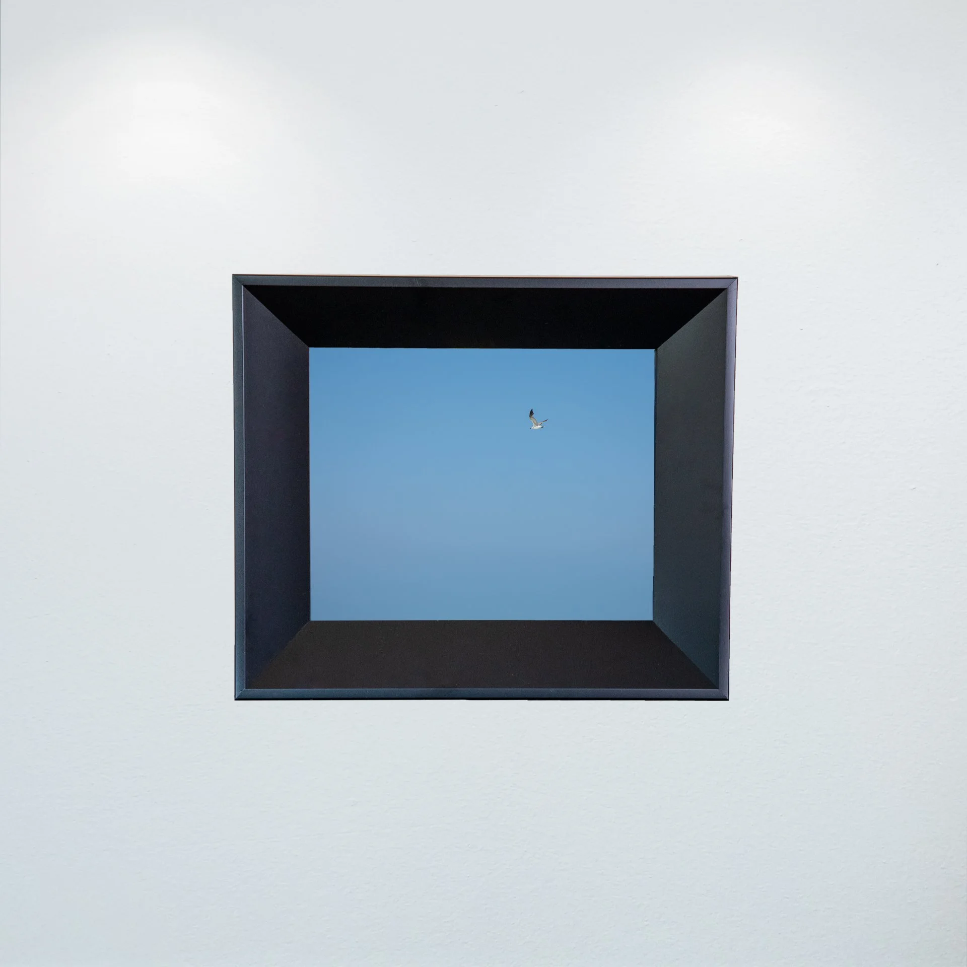 1:10 Blue Sky Seagull- Mini.jpg