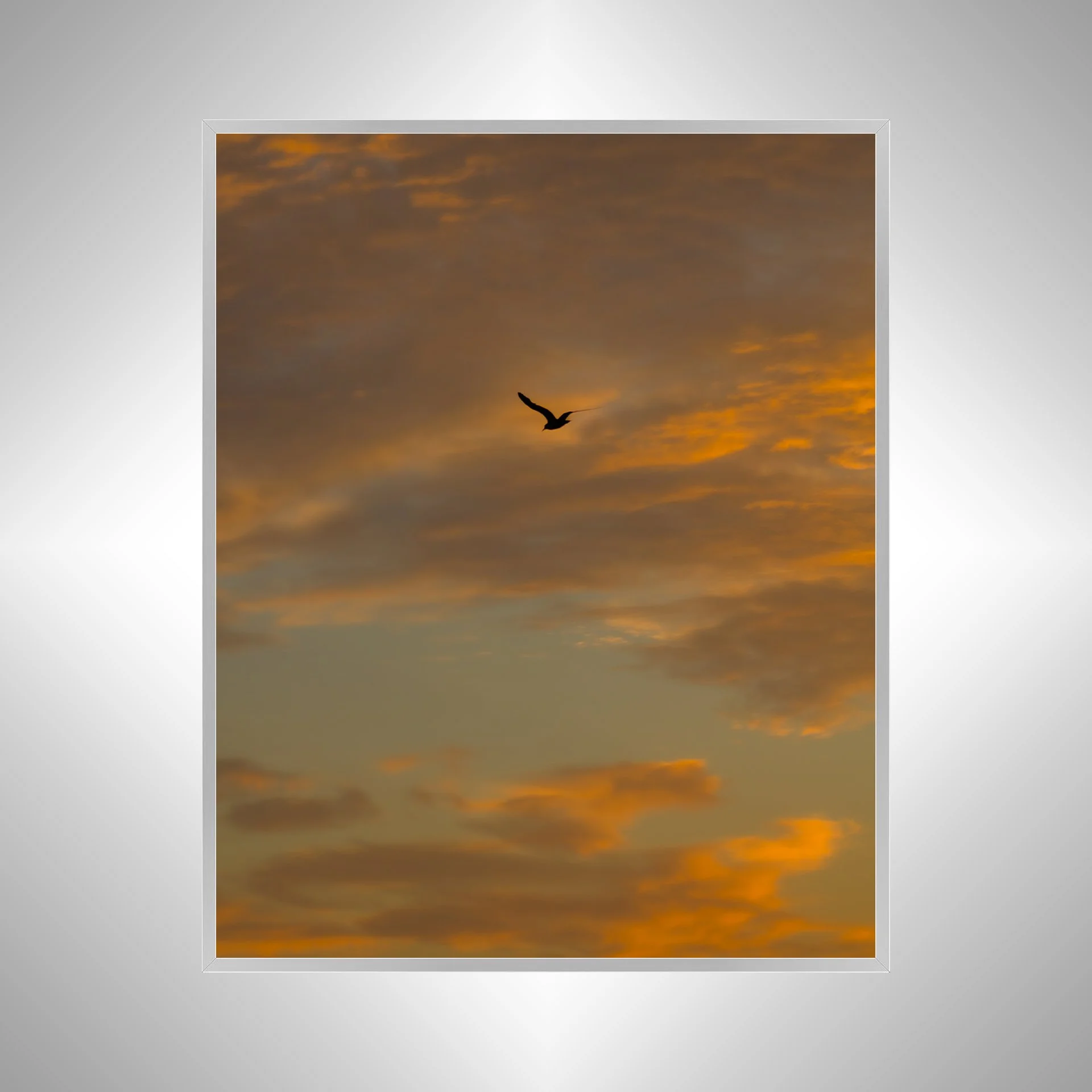 1:10 Seagull Soaring to Sunrise- Silver.jpg