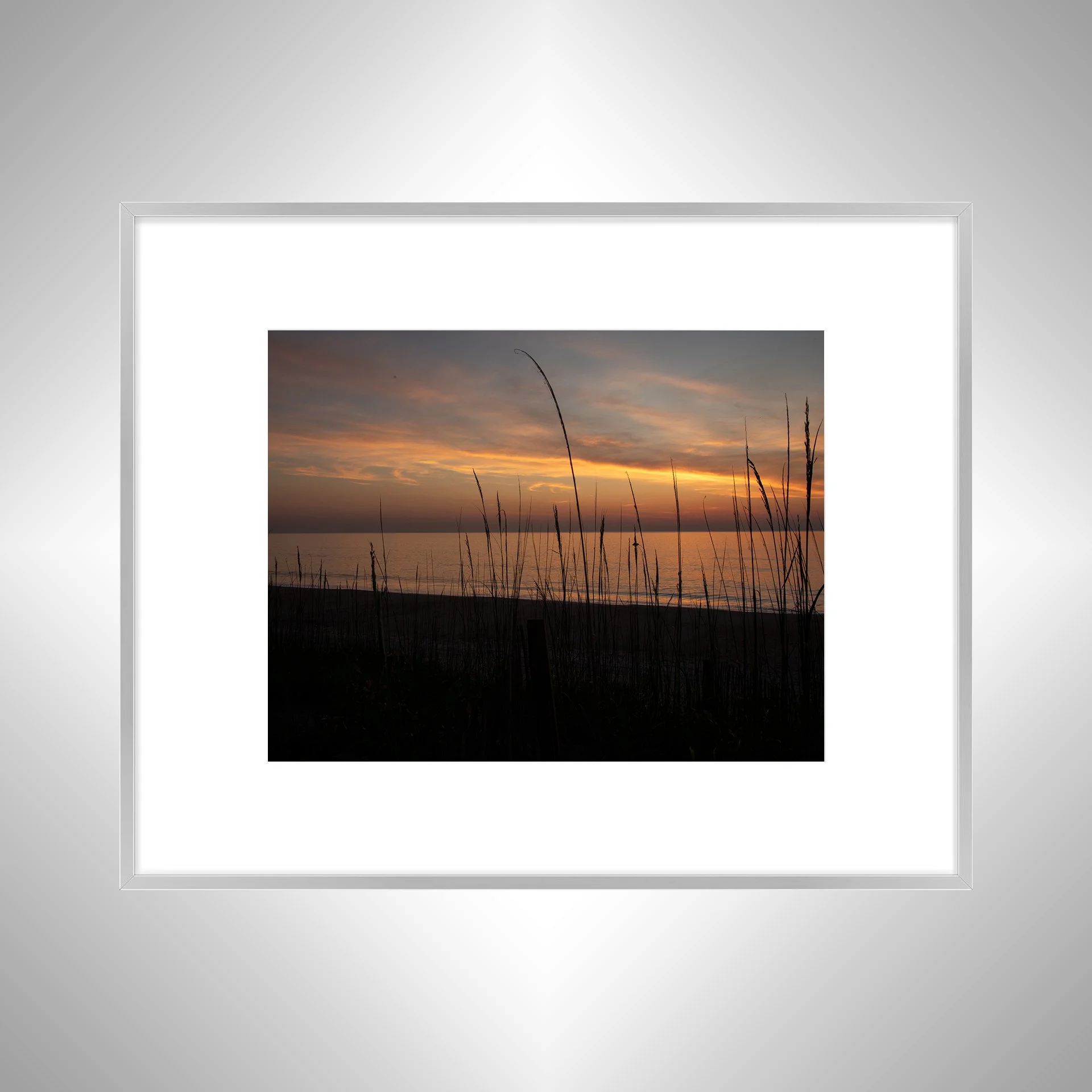 1:1 Sunrise behind Dunegrass Silver w: Border.jpg