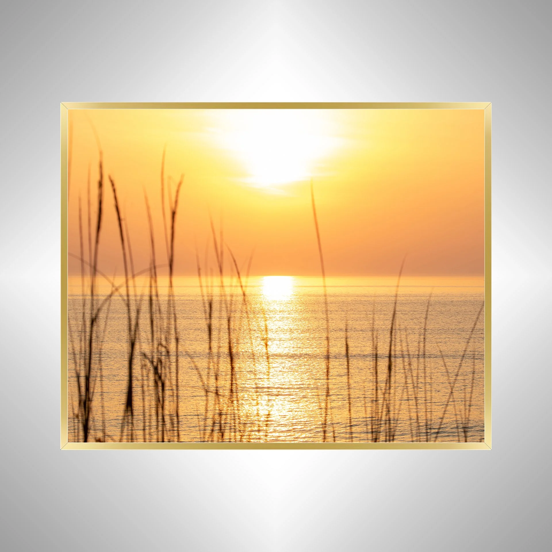 1:1 Sunrise thru Dunegrass- Gold.jpg