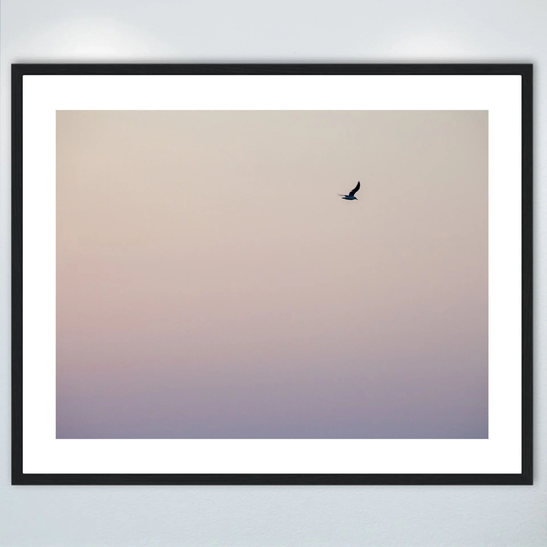 1:1 Seagull Flying on Pink Gradient- Wood w: Border.jpg