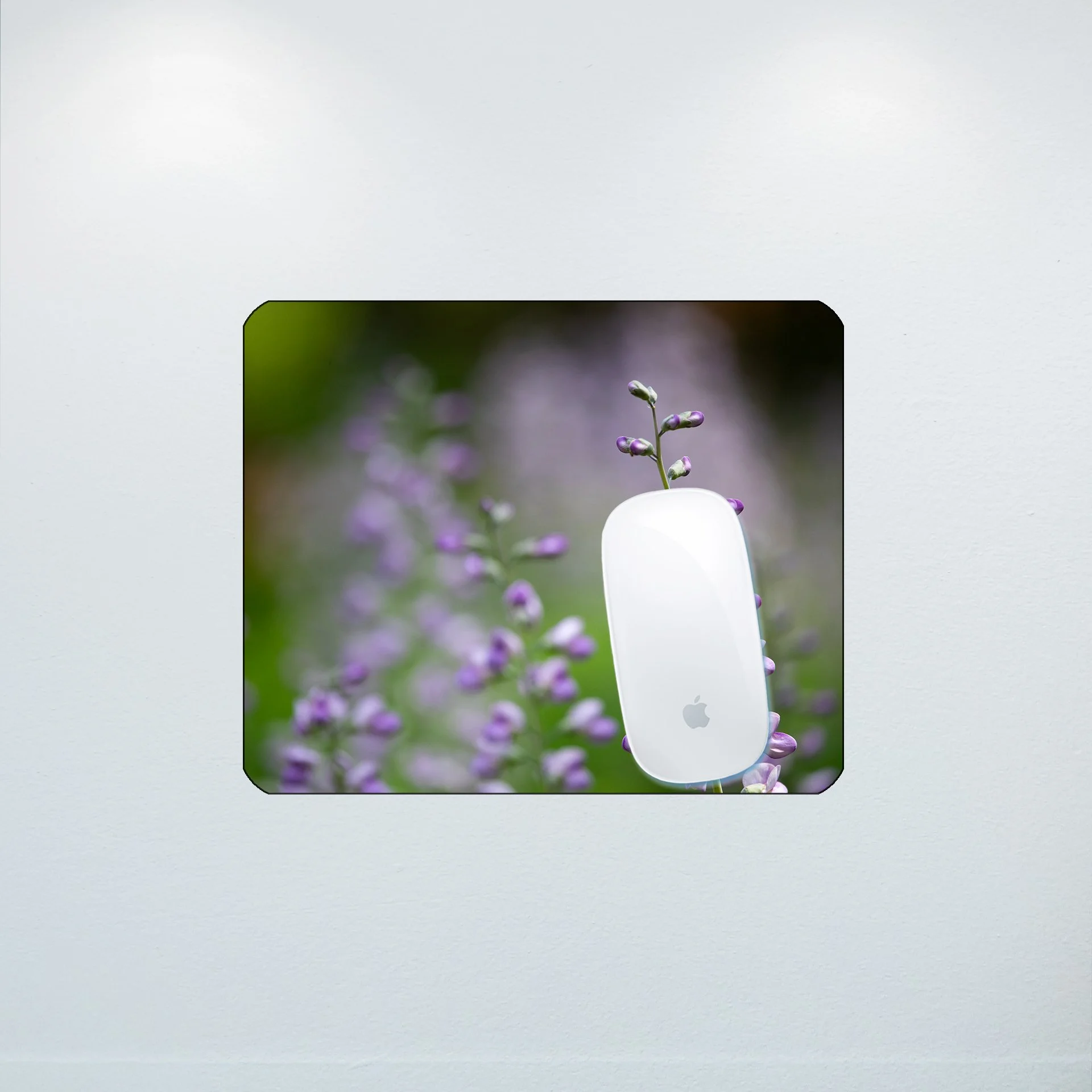 1:10 Baptisia 'Purple Smoke'- Mouse Pad.jpg