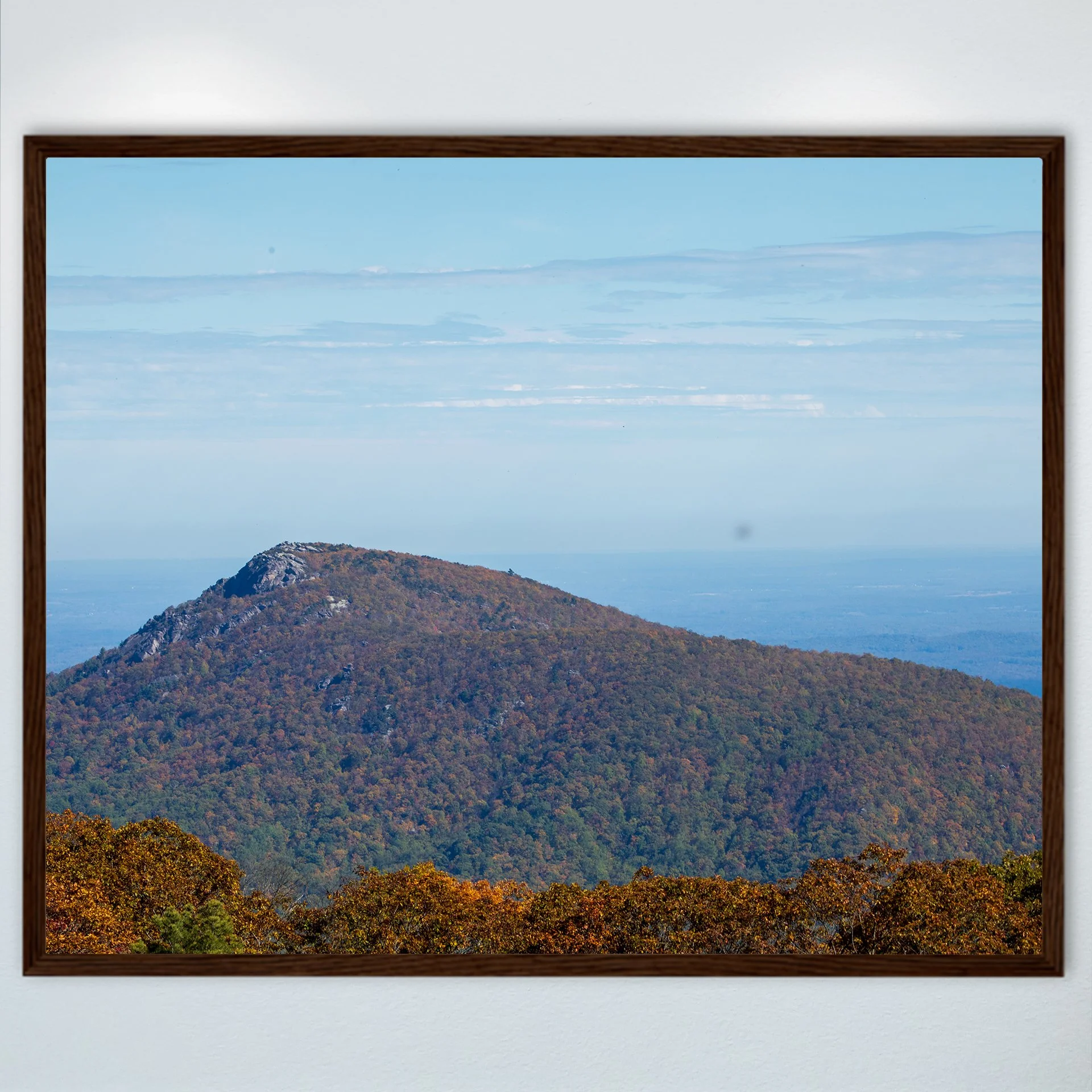 1:1 Shenandoah National Park Mountain at Fall- Wood.jpg
