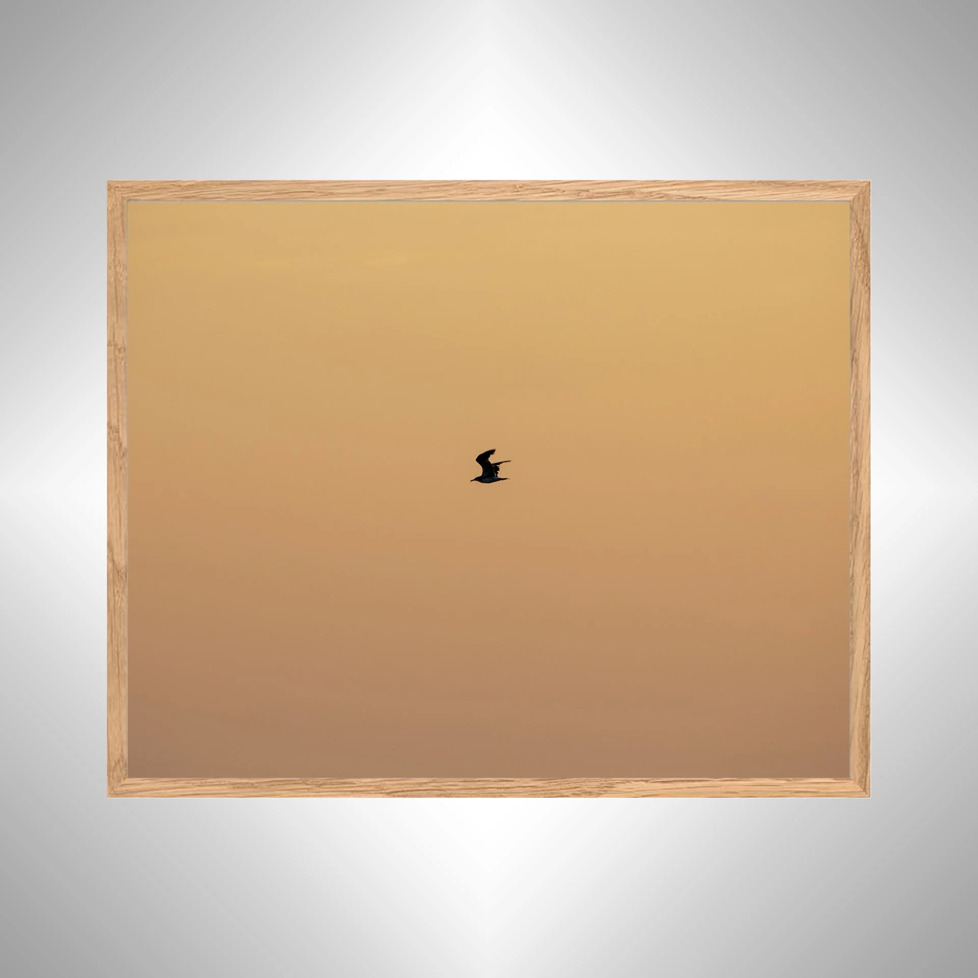 1:10 Orange Side Glider in Duck, NC- White copy NATTY.jpg