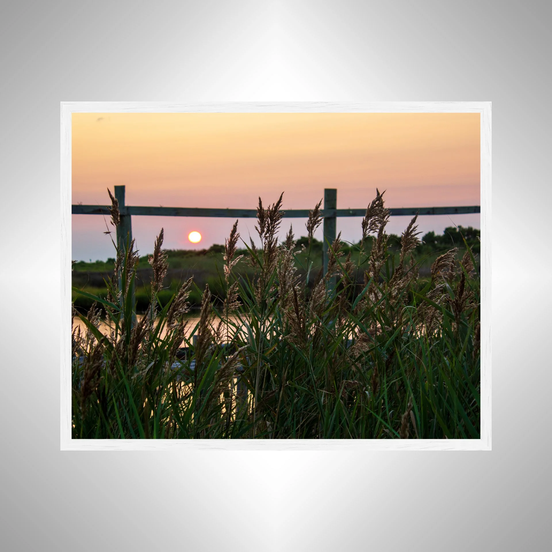 1:1 OBX Sound Sunset with Sea Oats- White.jpg