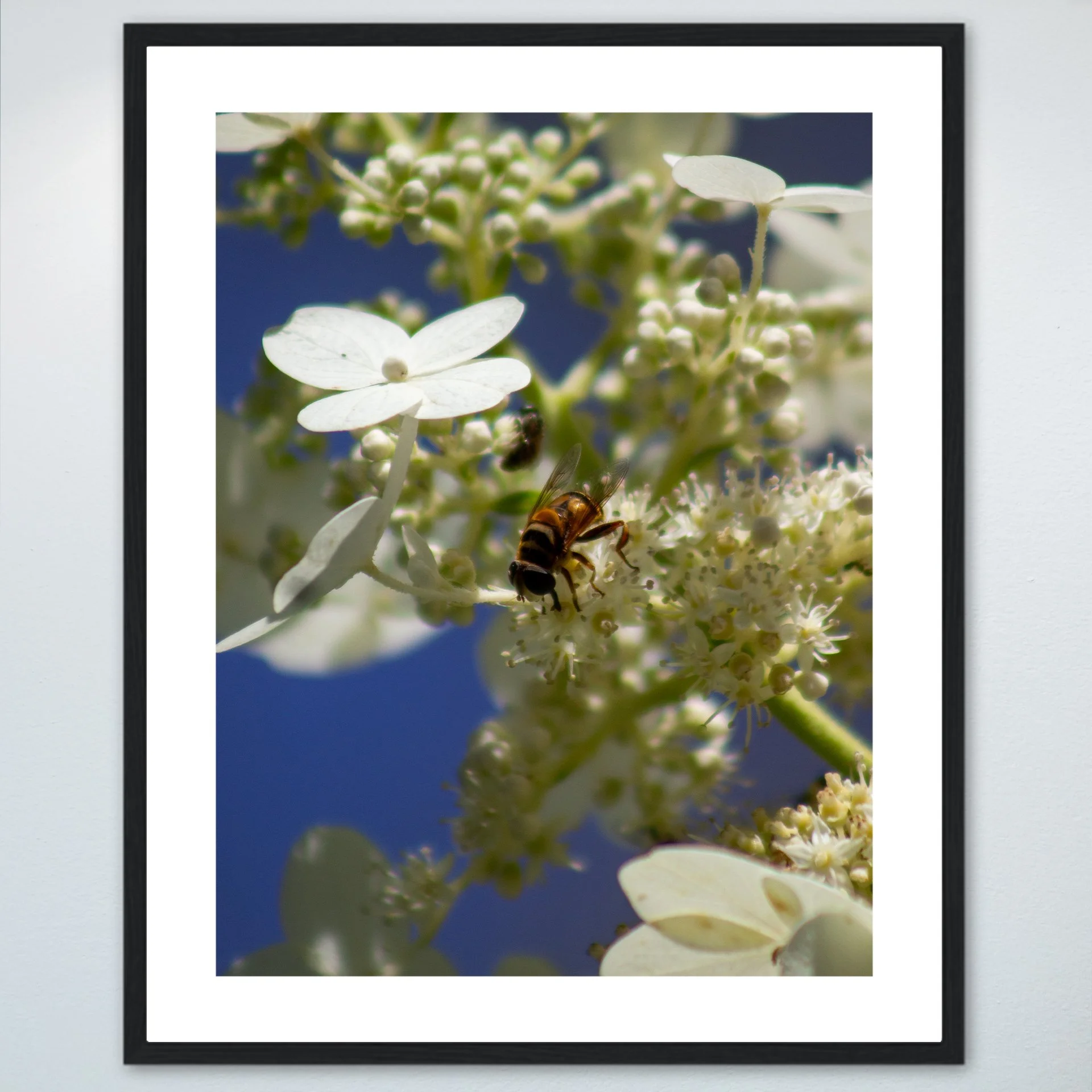 1:1 Pollinator in Norfolk- Wood w: Border.jpg
