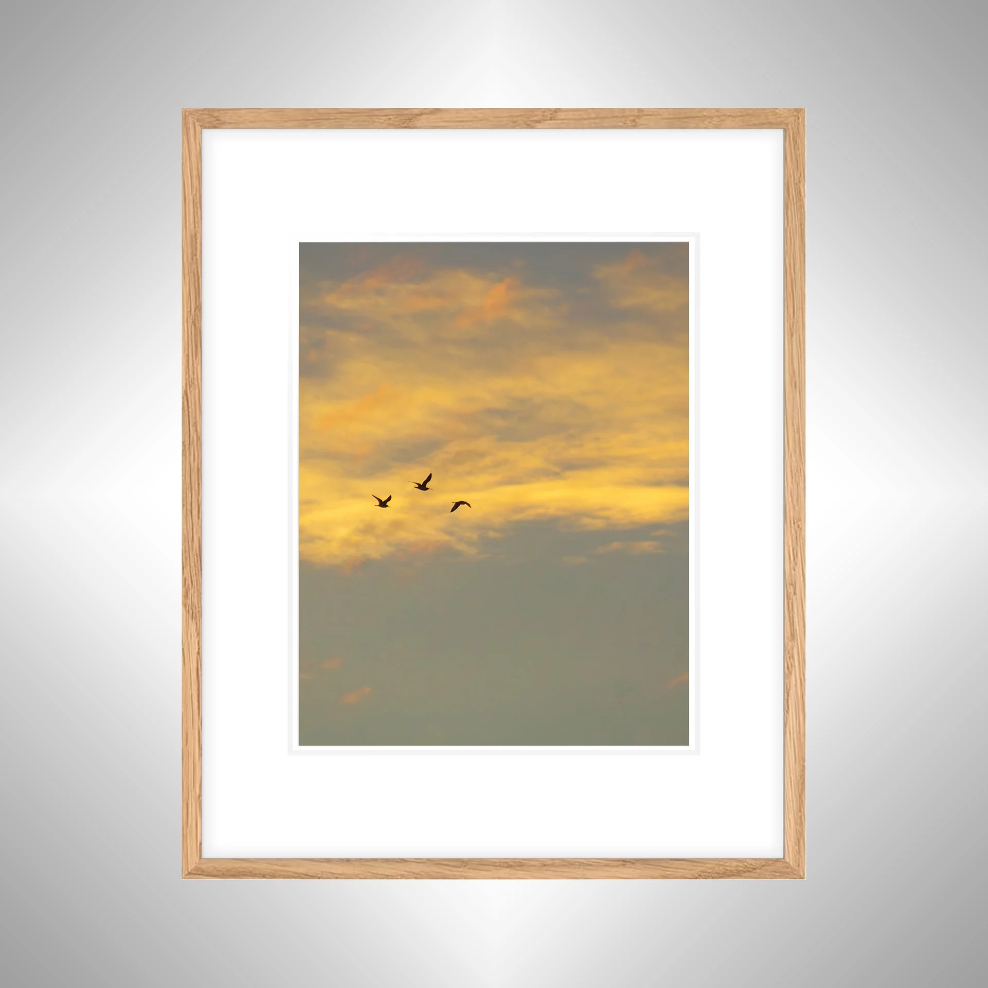 1:1 Trio of Gulls Flying at Sunrise- White w: Border copy NATTY.jpg