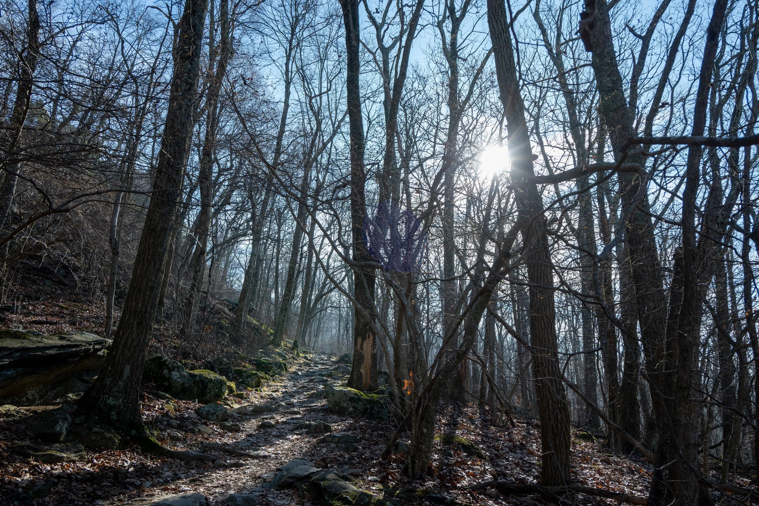 1:1 Shenandoah National Park Rock Trail with Sun Flare.jpg