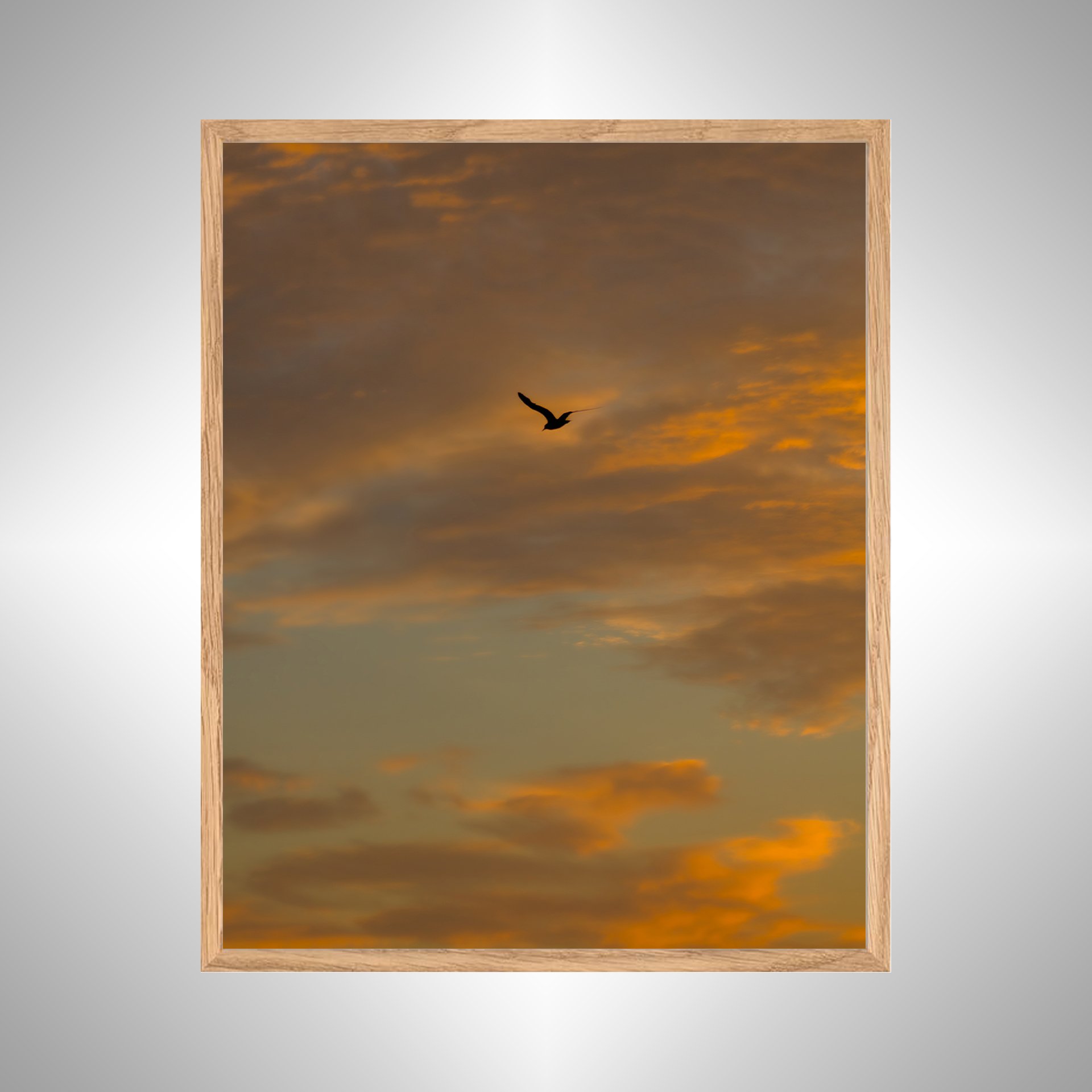 1:10 Seagull Soaring to Sunrise- White copy NATTY.jpg