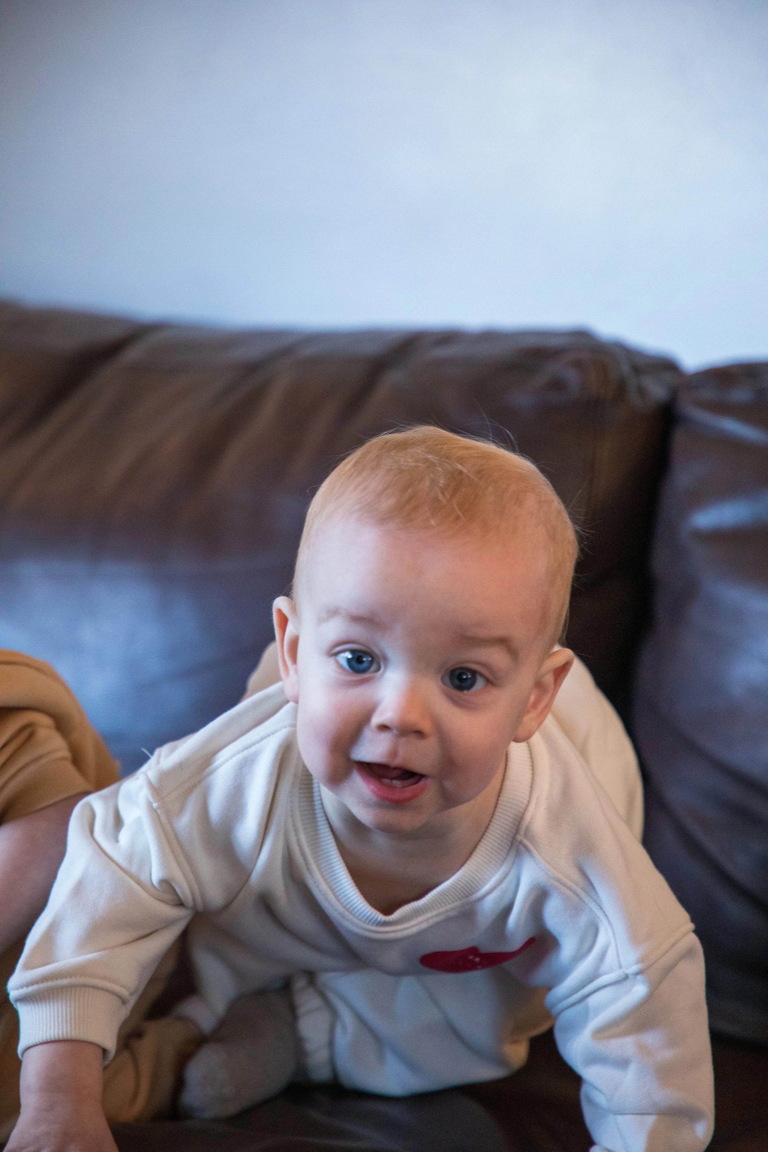 Hudson & Nolan15.jpg