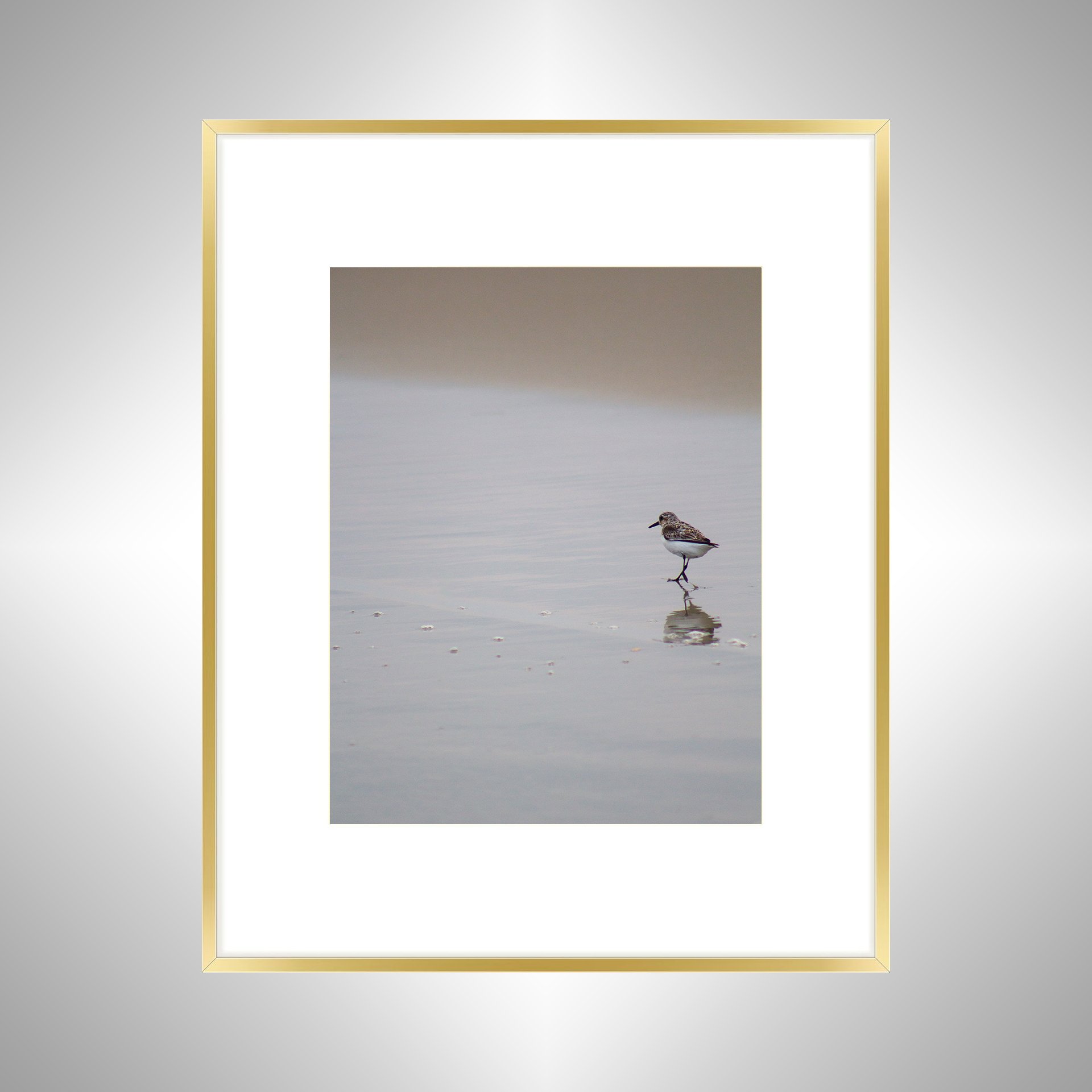 1:1 Sanderling Reflection- Gold w: Border.jpg