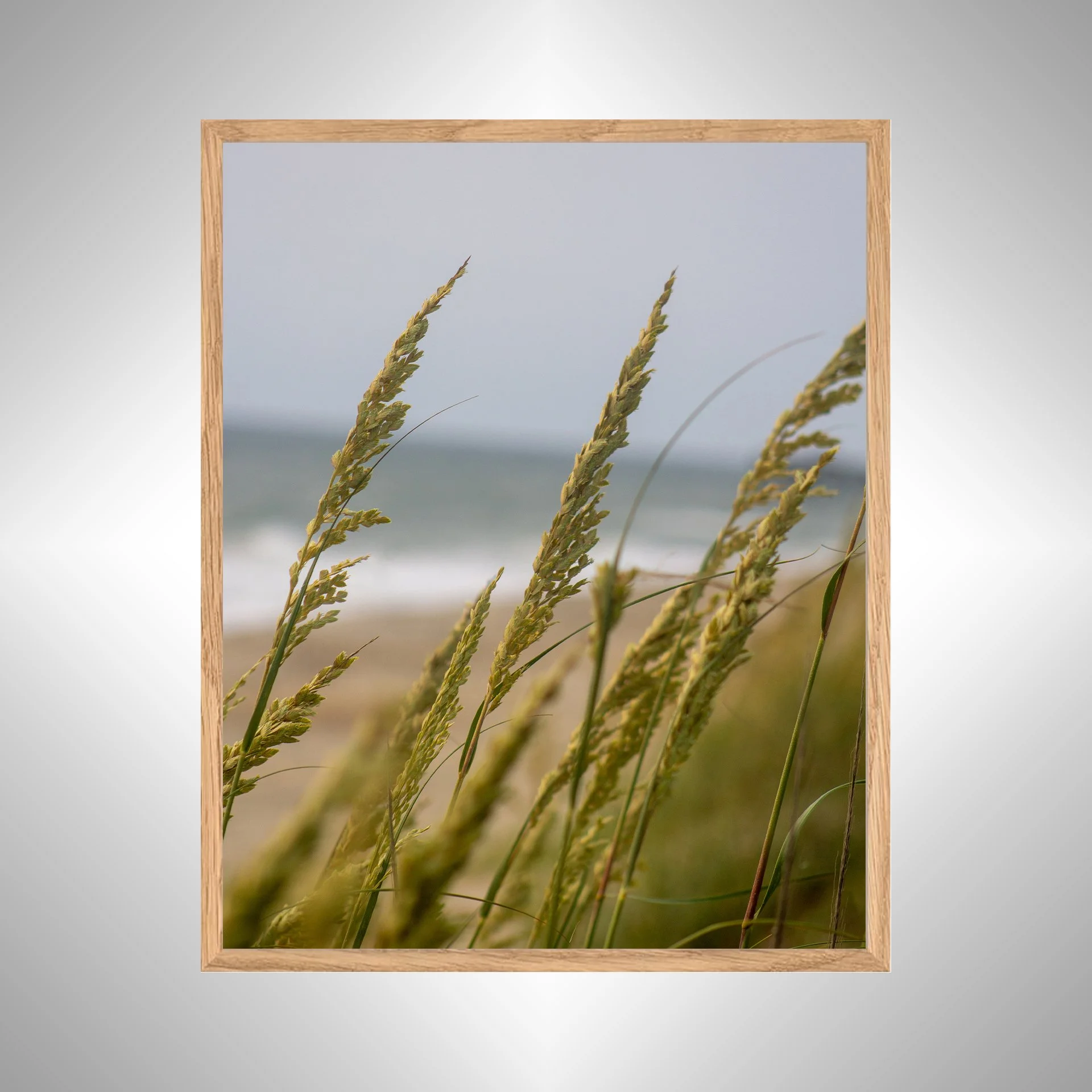 1:1 Rodanthe Dune Oats Group- White copy NATTY.jpg