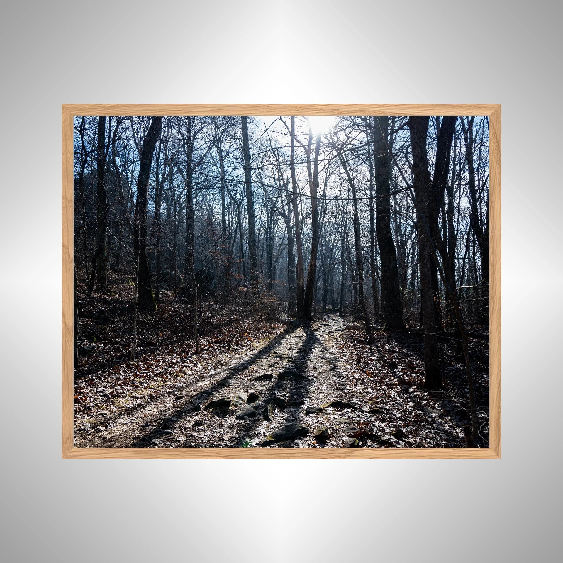 1:10 Shenandoah National Park Trail- W copy NATTY.jpg