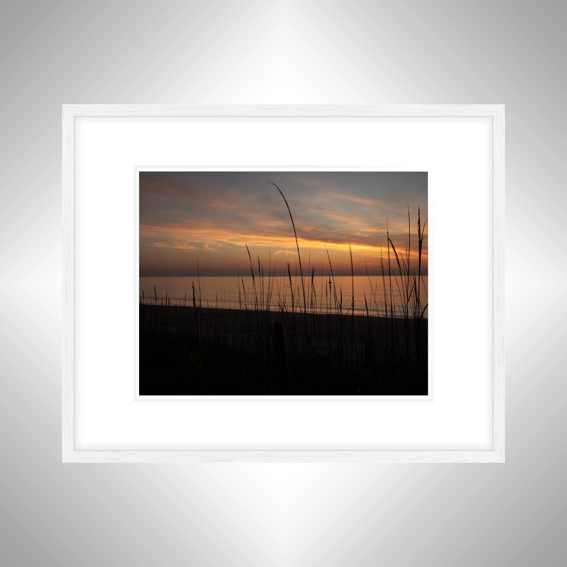 1:1 Sunrise behind Dunegrass- White w: Border.jpg