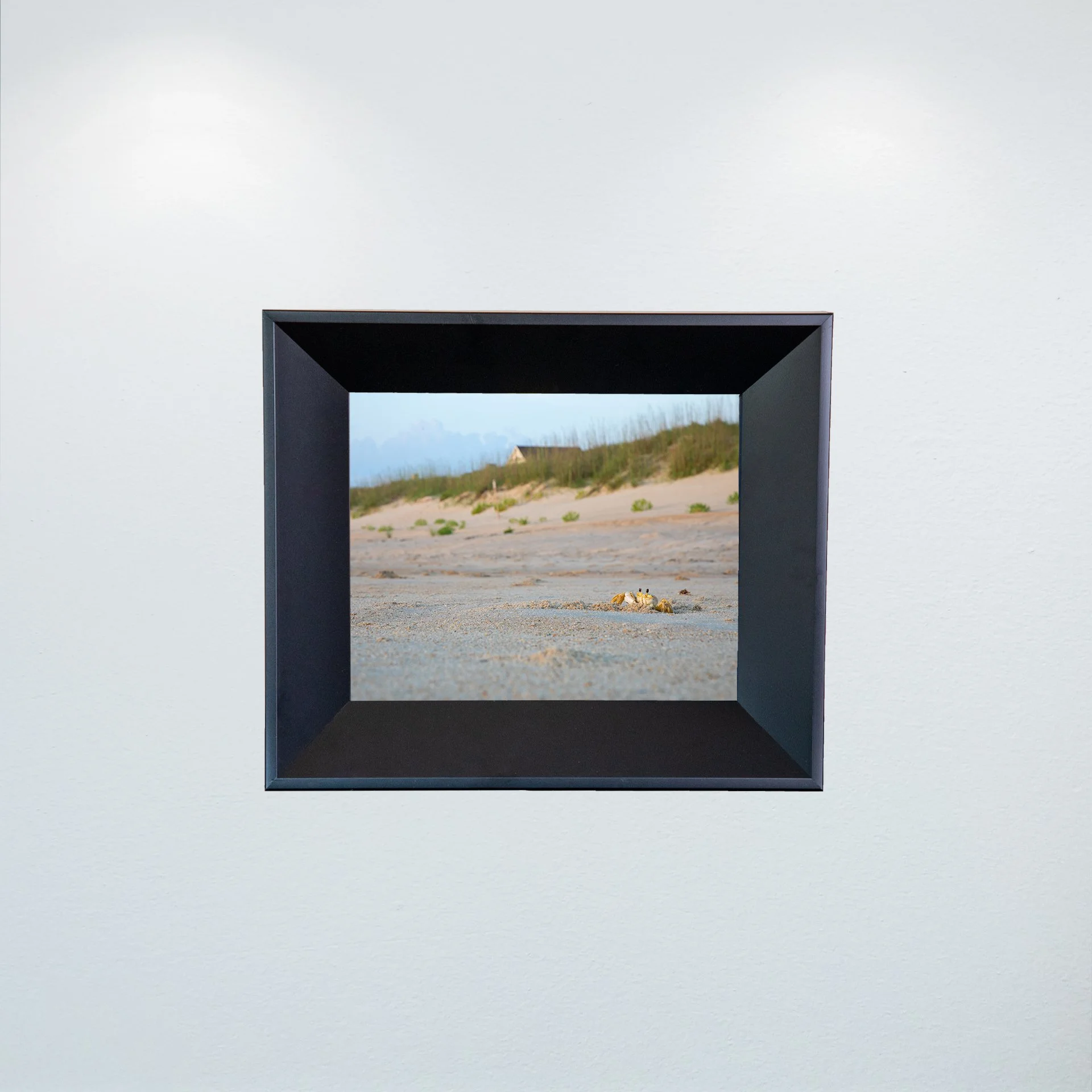 1:10 Ghost Crab Headshots- Mini.jpg