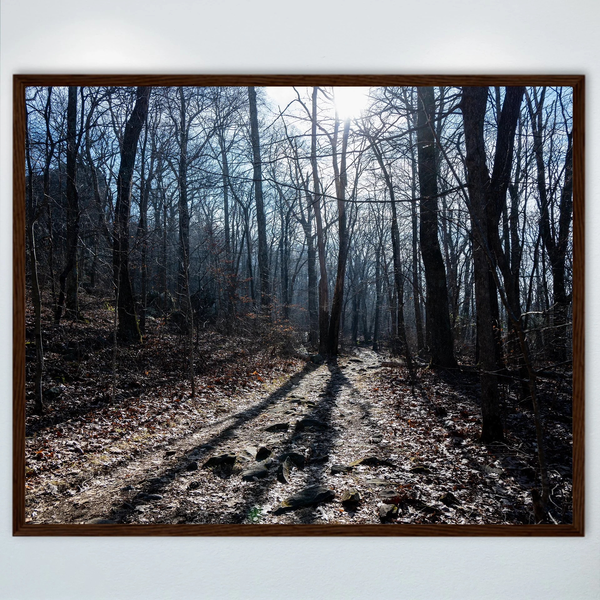 1:10 Shenandoah National Park Trail- Wood.jpg