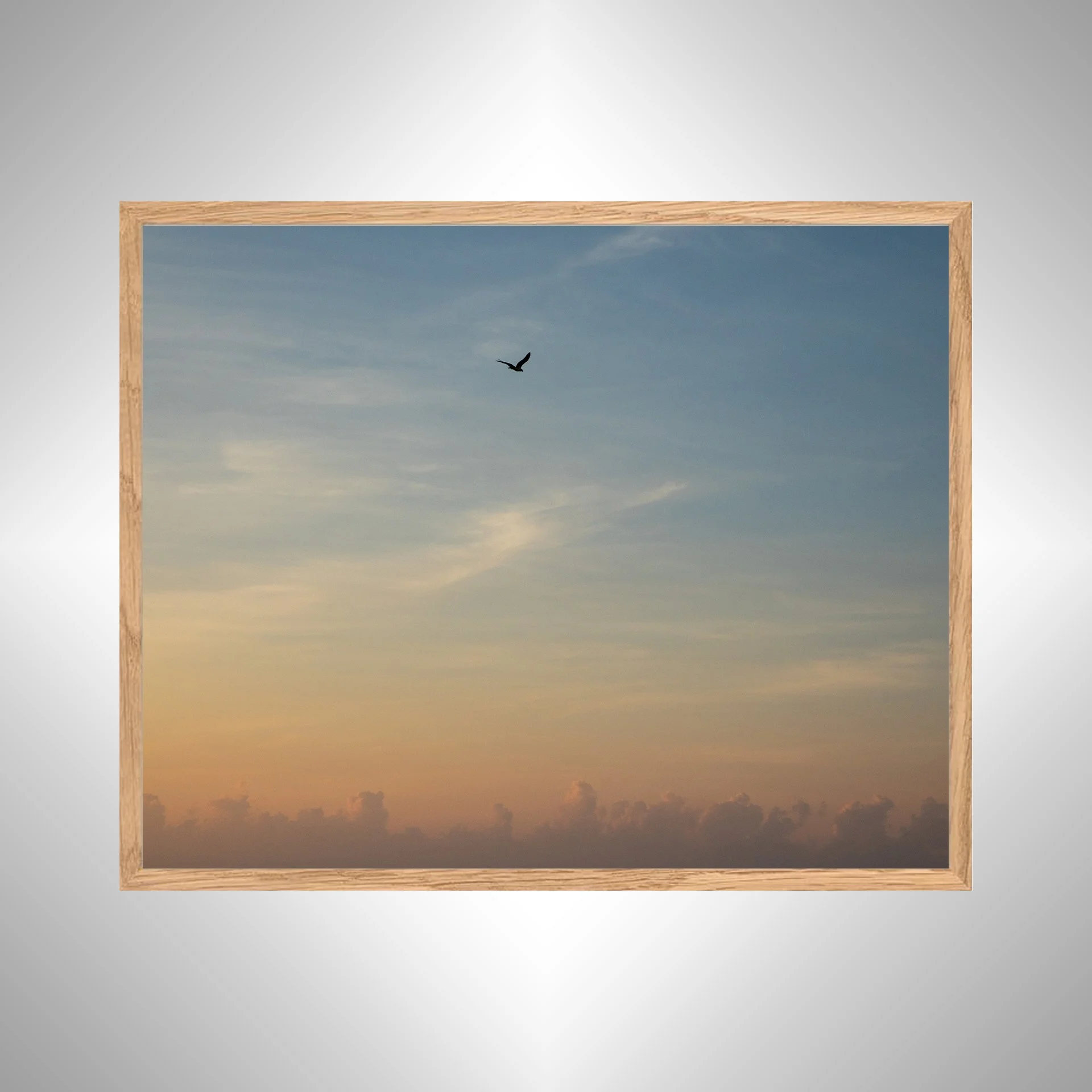 1:1 Seagull infront of Sunrise Clouds- White copy NATTY.jpg