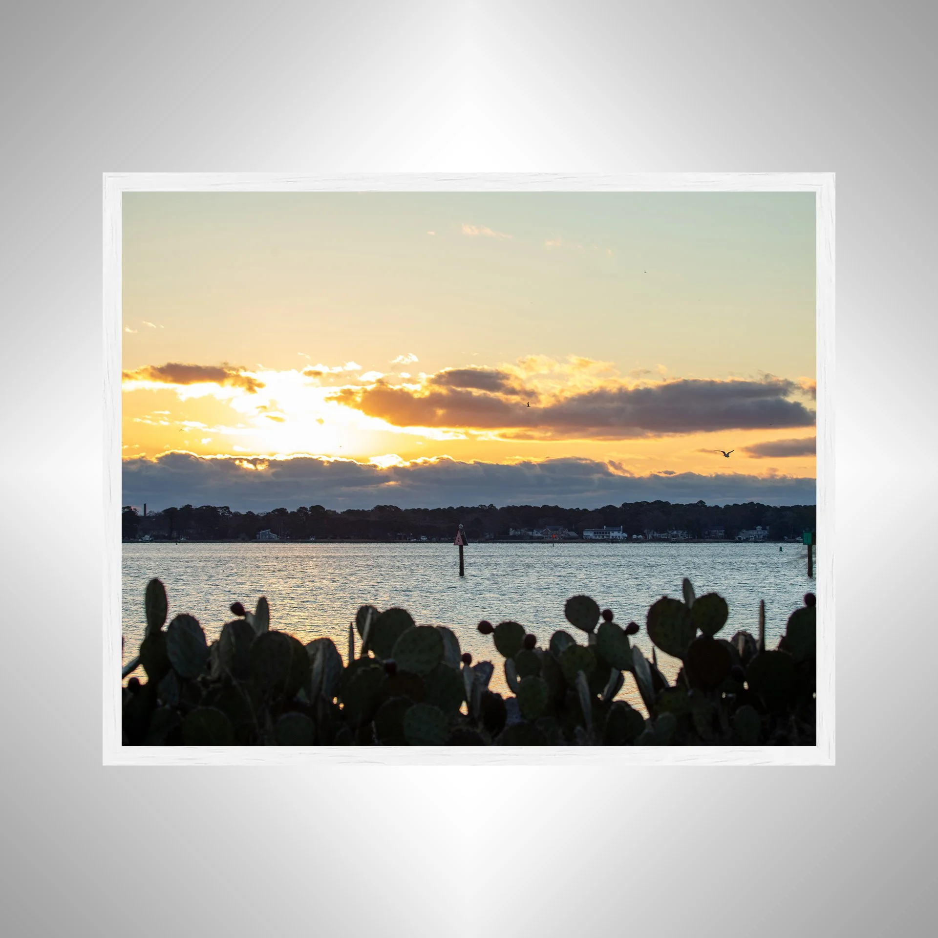 1:1 Lafayette River at Sunrise with Seagull- White Wood.jpg
