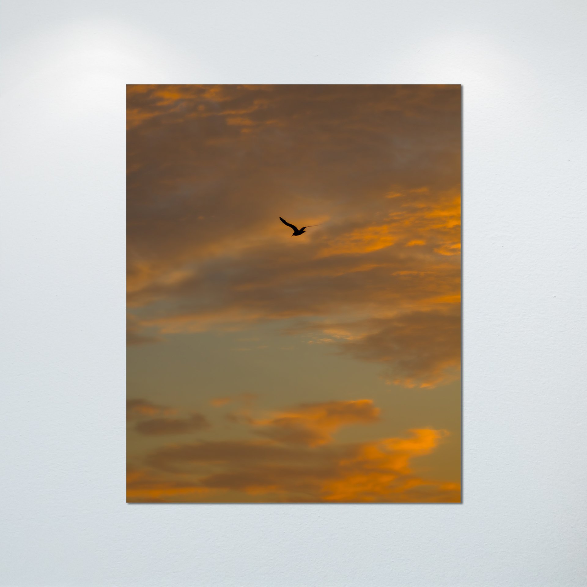 1:1 Seagull Soaring to Sunrise- Poster & Canvas.jpg