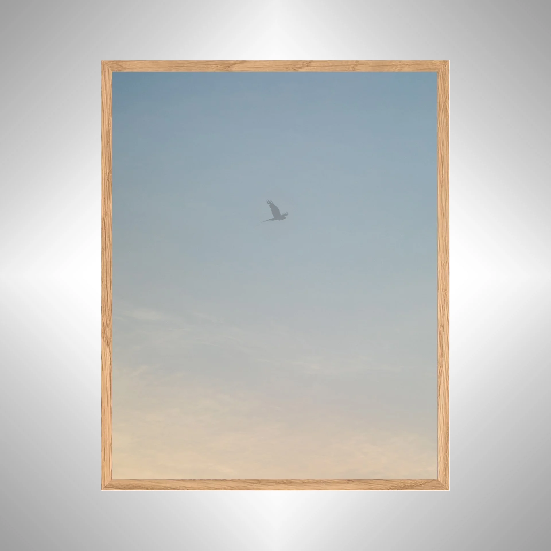 1:1 Seagull thru Fog- White copy NATTY.jpg
