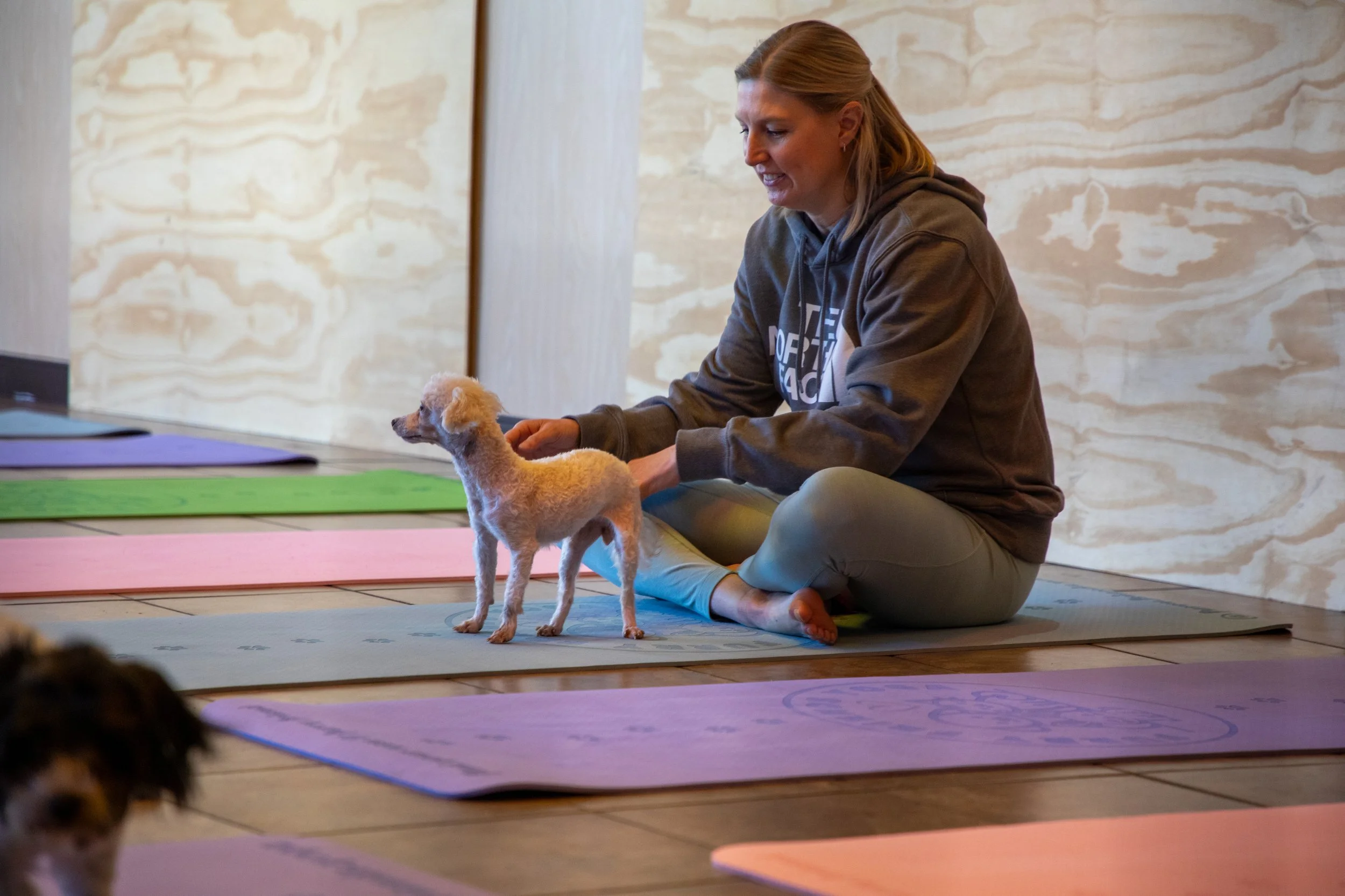 Puppy Yoga Marketing and Event Photography by Will Locke. A woman in a gray hoodie and gray leggings sits cross-legged on a yoga mat, holding a small dog during a yoga class in a wooden-floored studio with yoga mats in the background.
