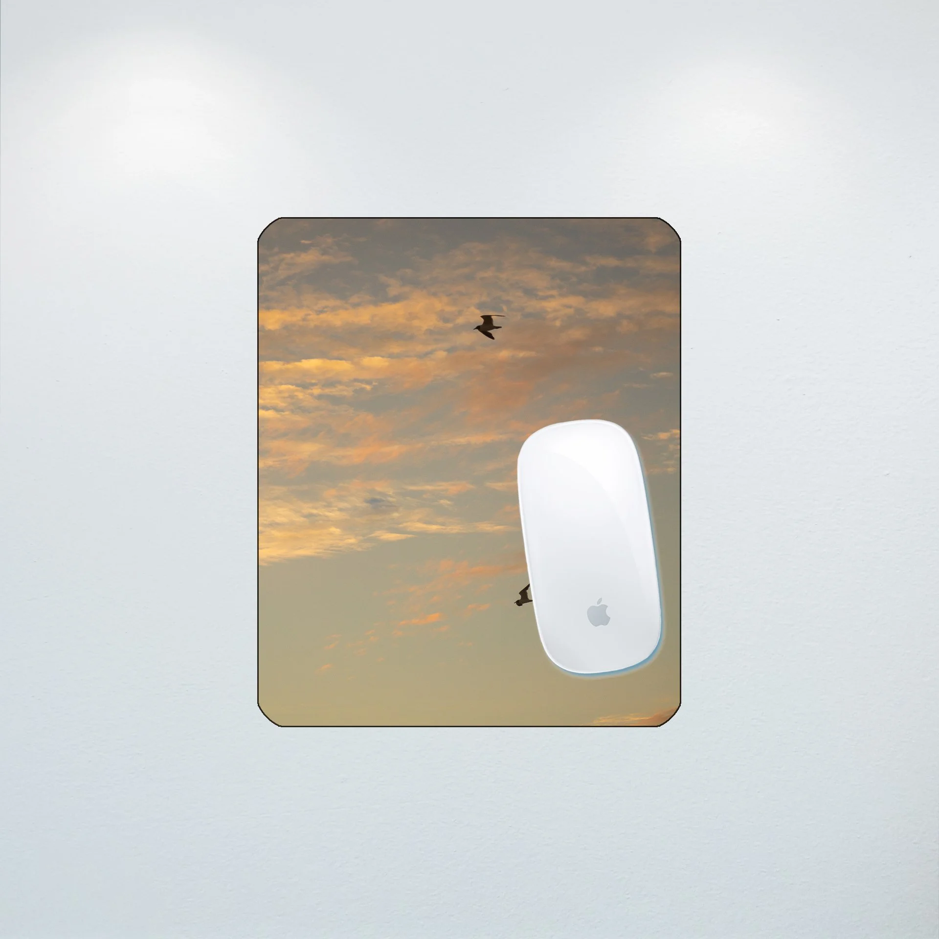 1:10 Love Birds (Seagulls)- Mouse Pad.jpg