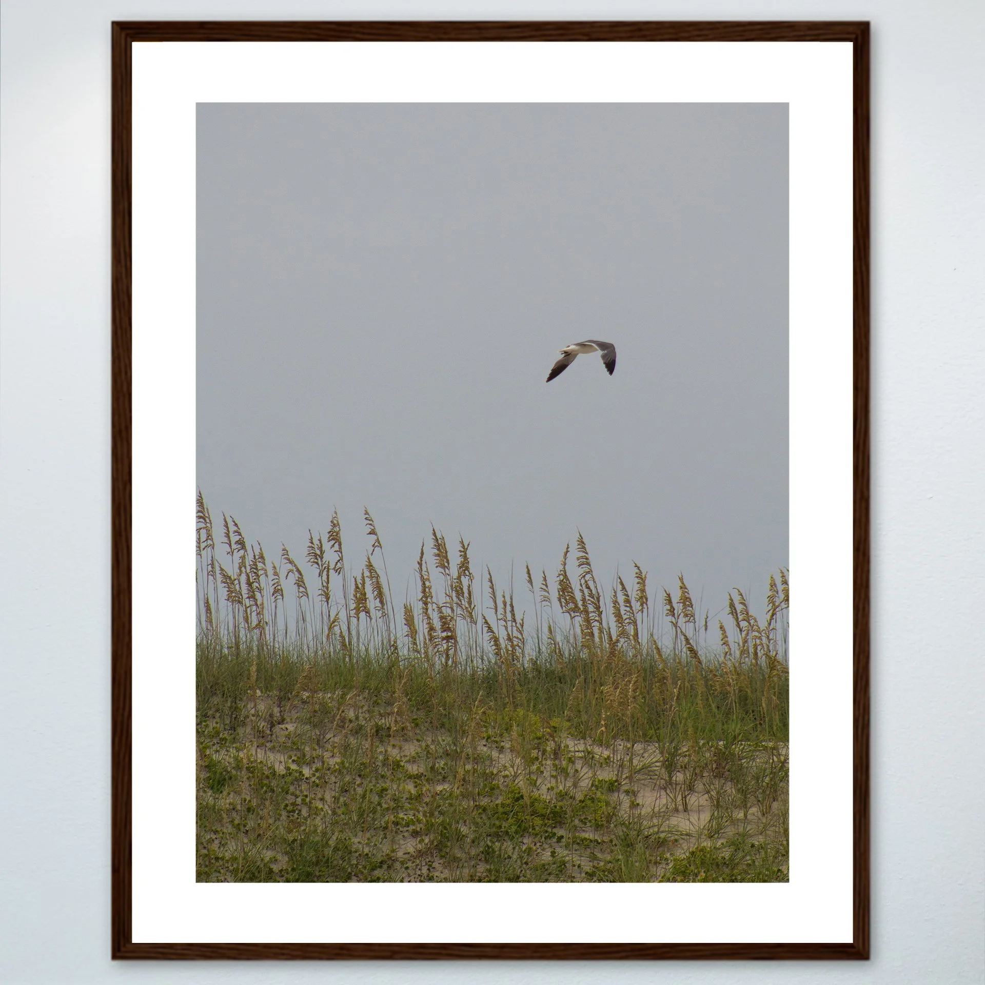 1:1 Seagull with Sea Oats- Wood w: Border.jpg