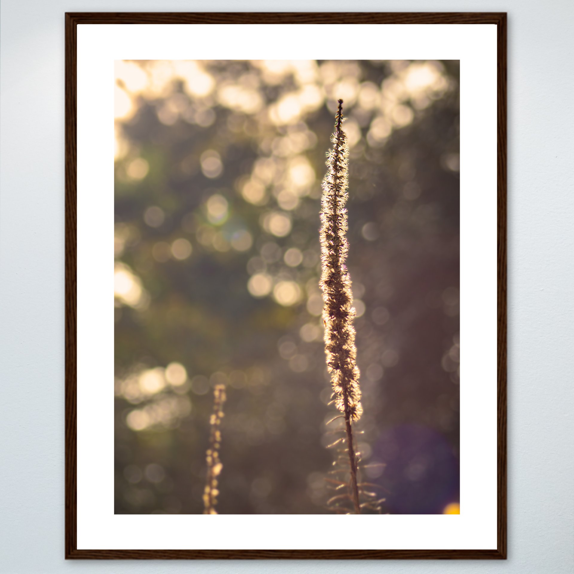 1:1 Foxglove in Winter- Wood w: Border.jpg