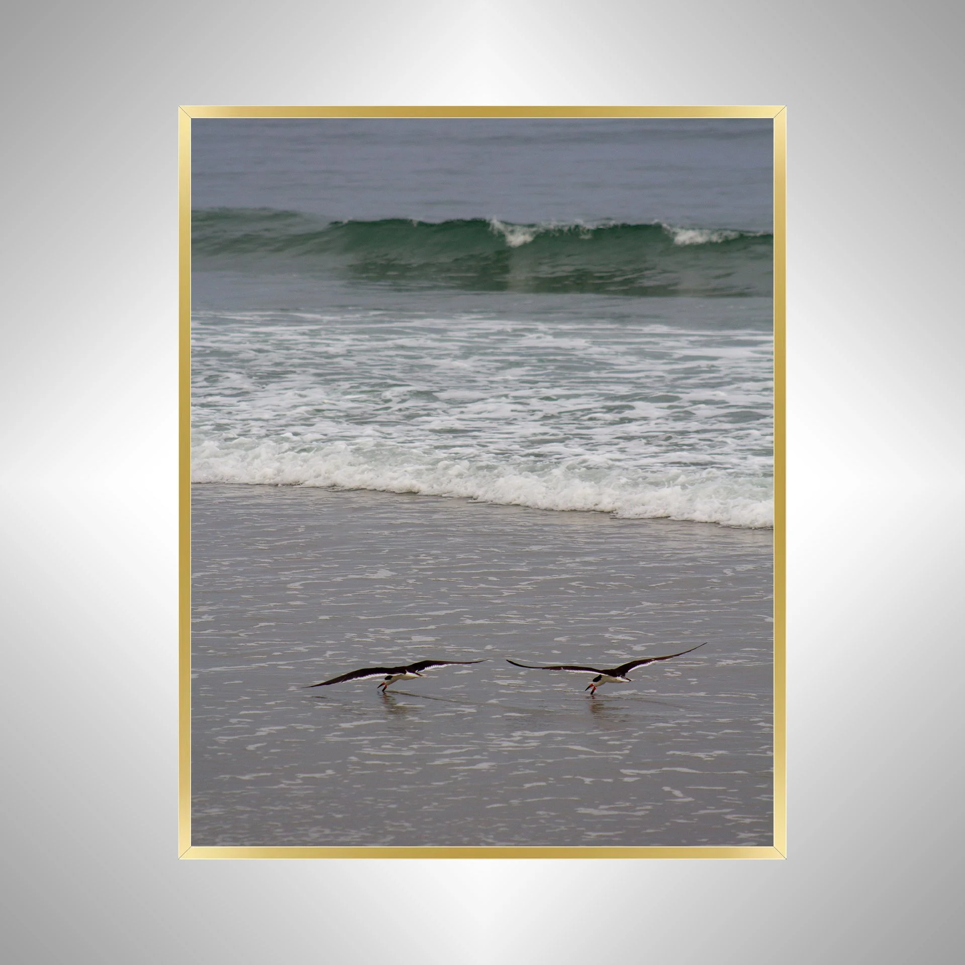 1:1 Oyster Catcher Couple Hunting in Carova- Gold.jpg
