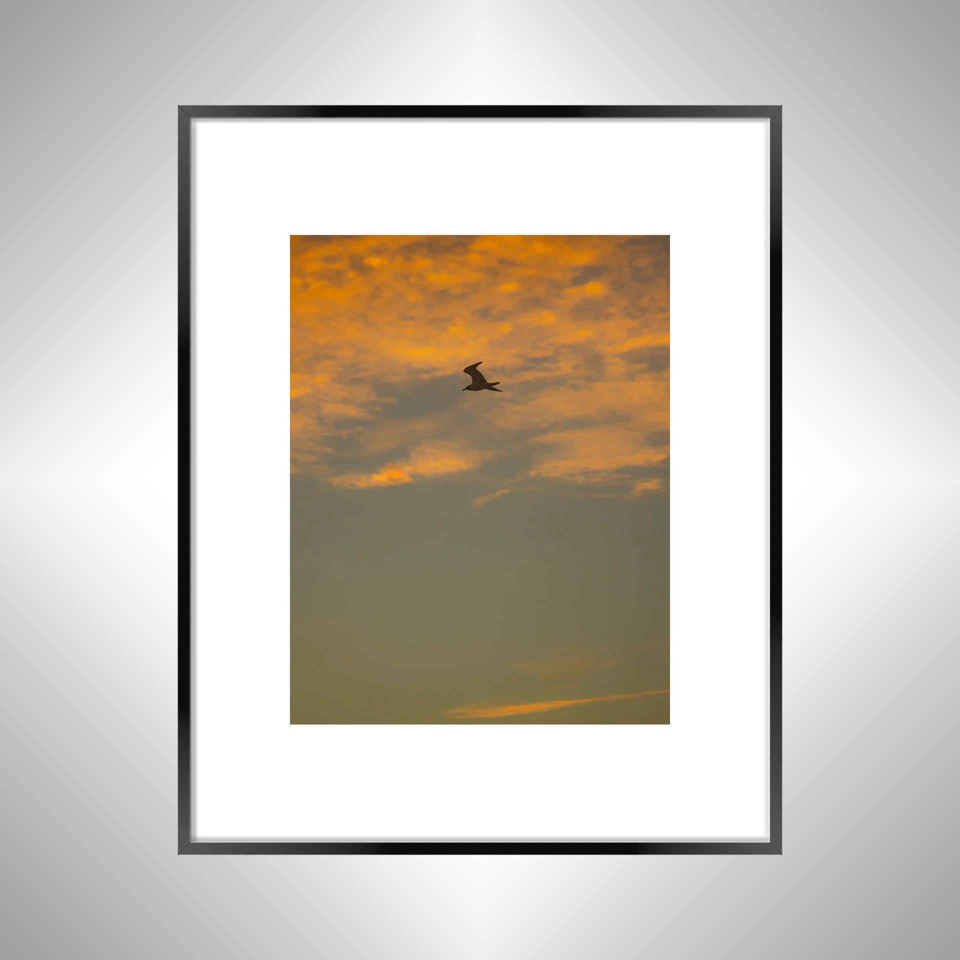 1:1 Seagull Flying with Orange Clouds- Black w: Border.jpg