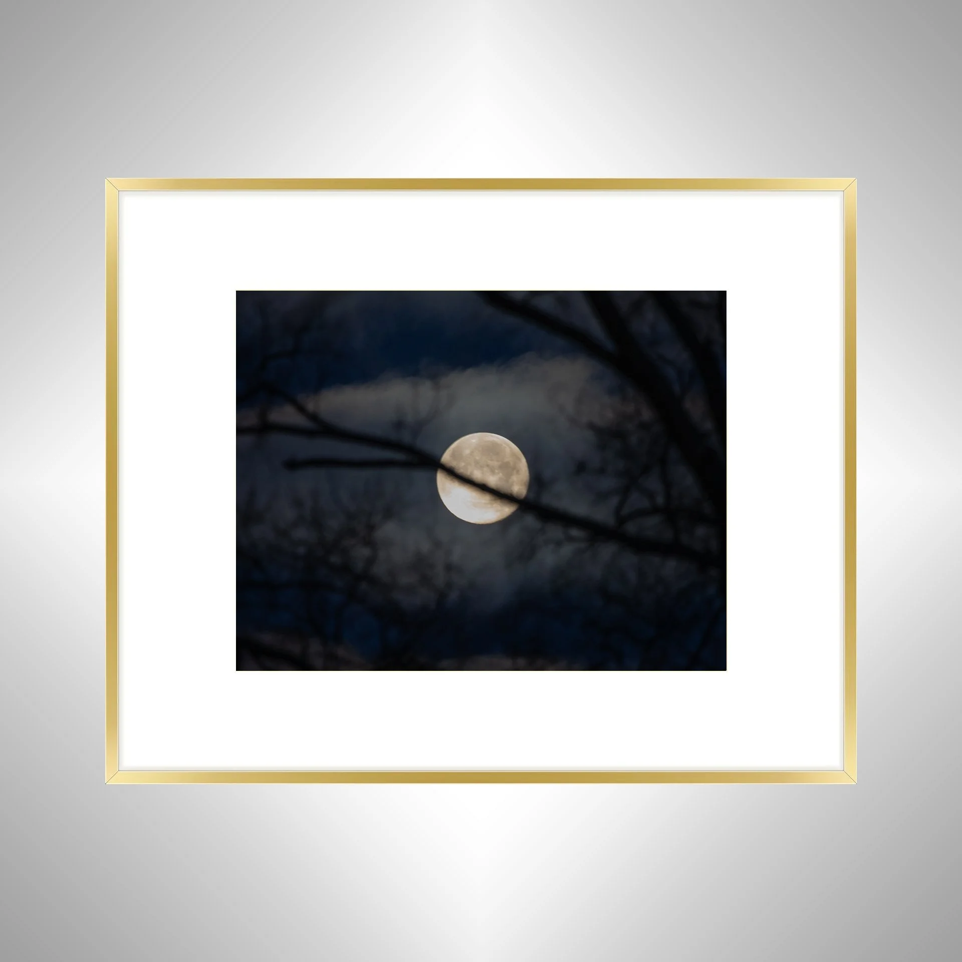 1:1 Moon thru Tree Branches- Gold Metal w: Border.jpg
