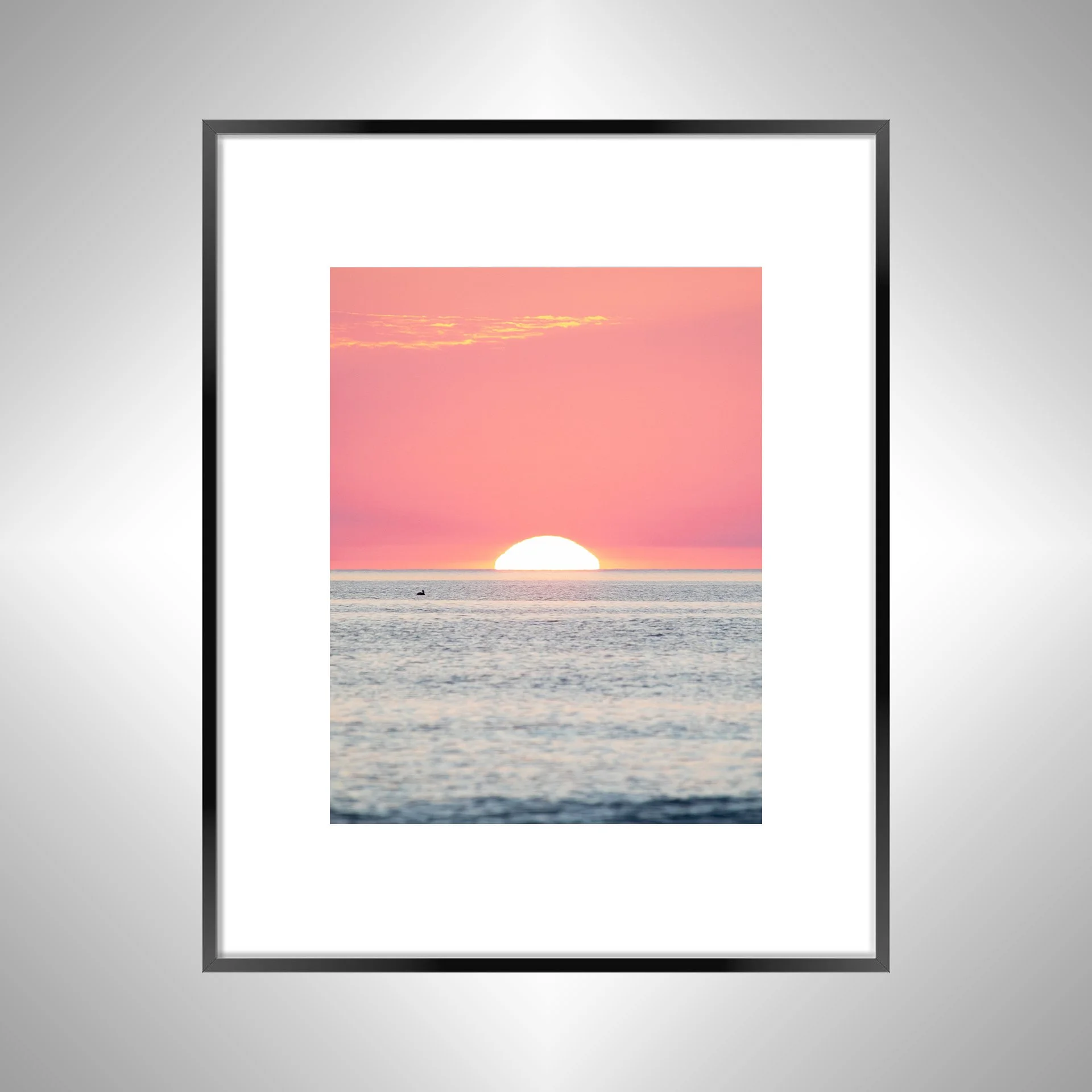 1:1 Pelican Watching Sunrise (Portrait)- Black w: Border.jpg