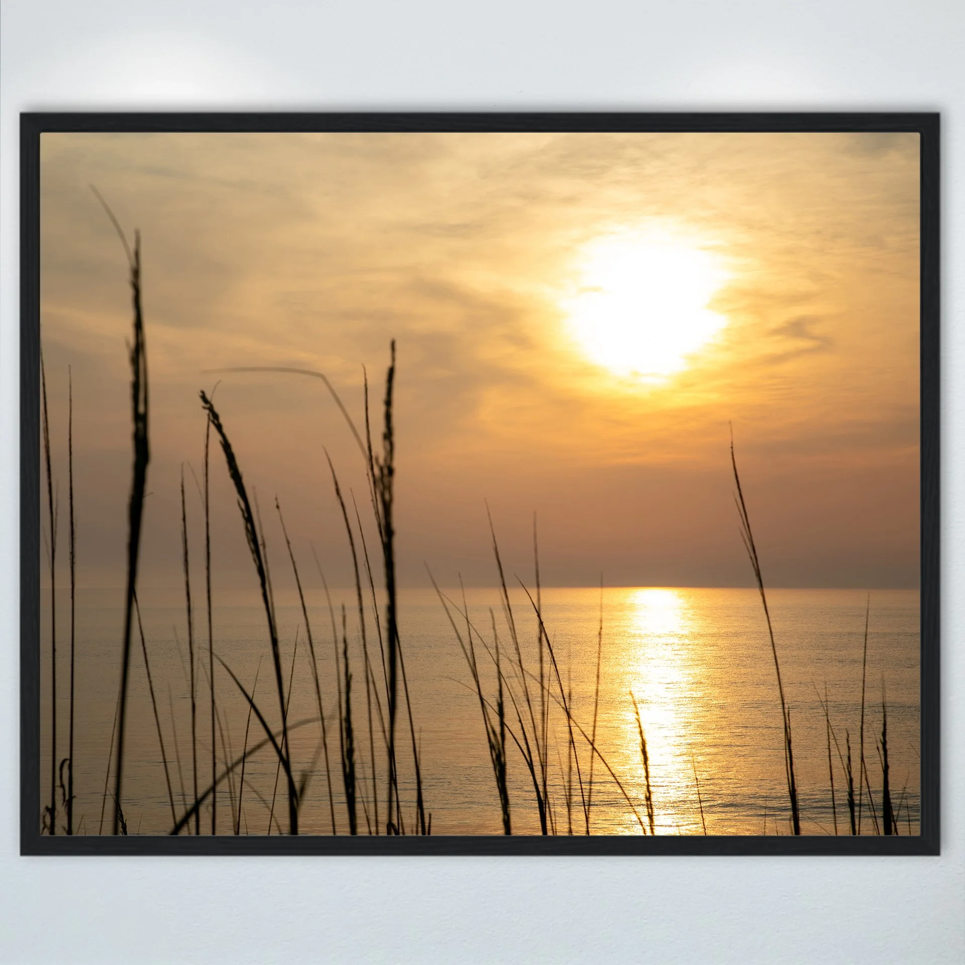 1:1 Sunrise Reflection thru Dunegrass- Wood.jpg