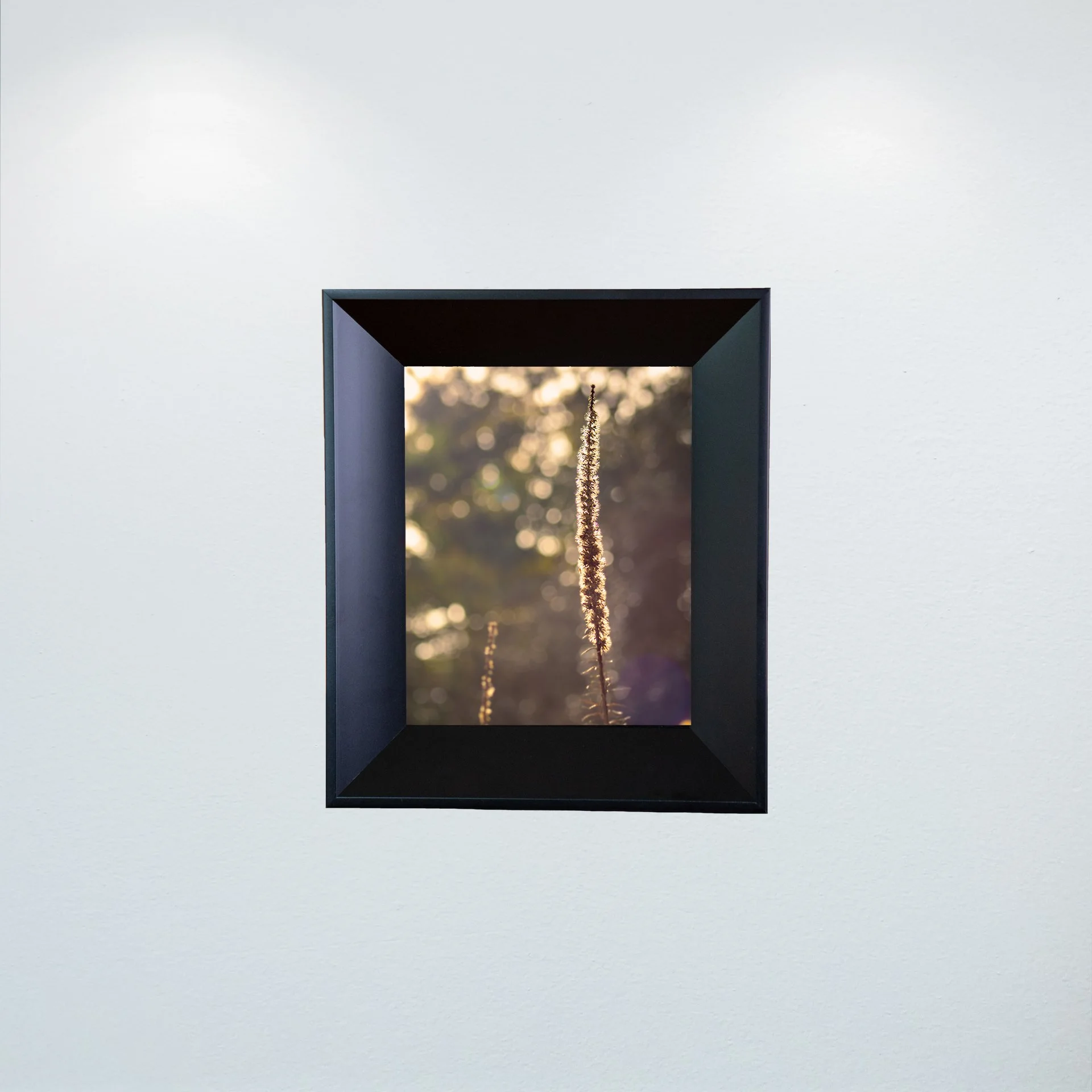 1:1 Foxglove in Winter- Mini.jpg